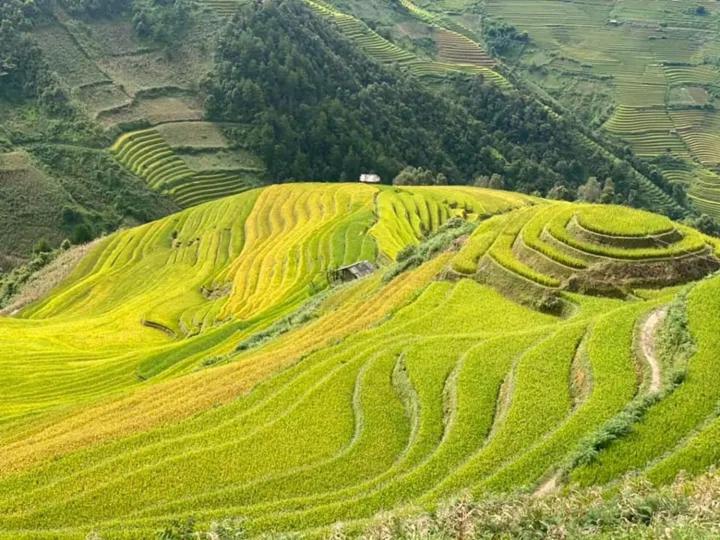 Homestay Ngọc Thủy Điểm dừng chân lên Đồi Mâm Xôi view 3