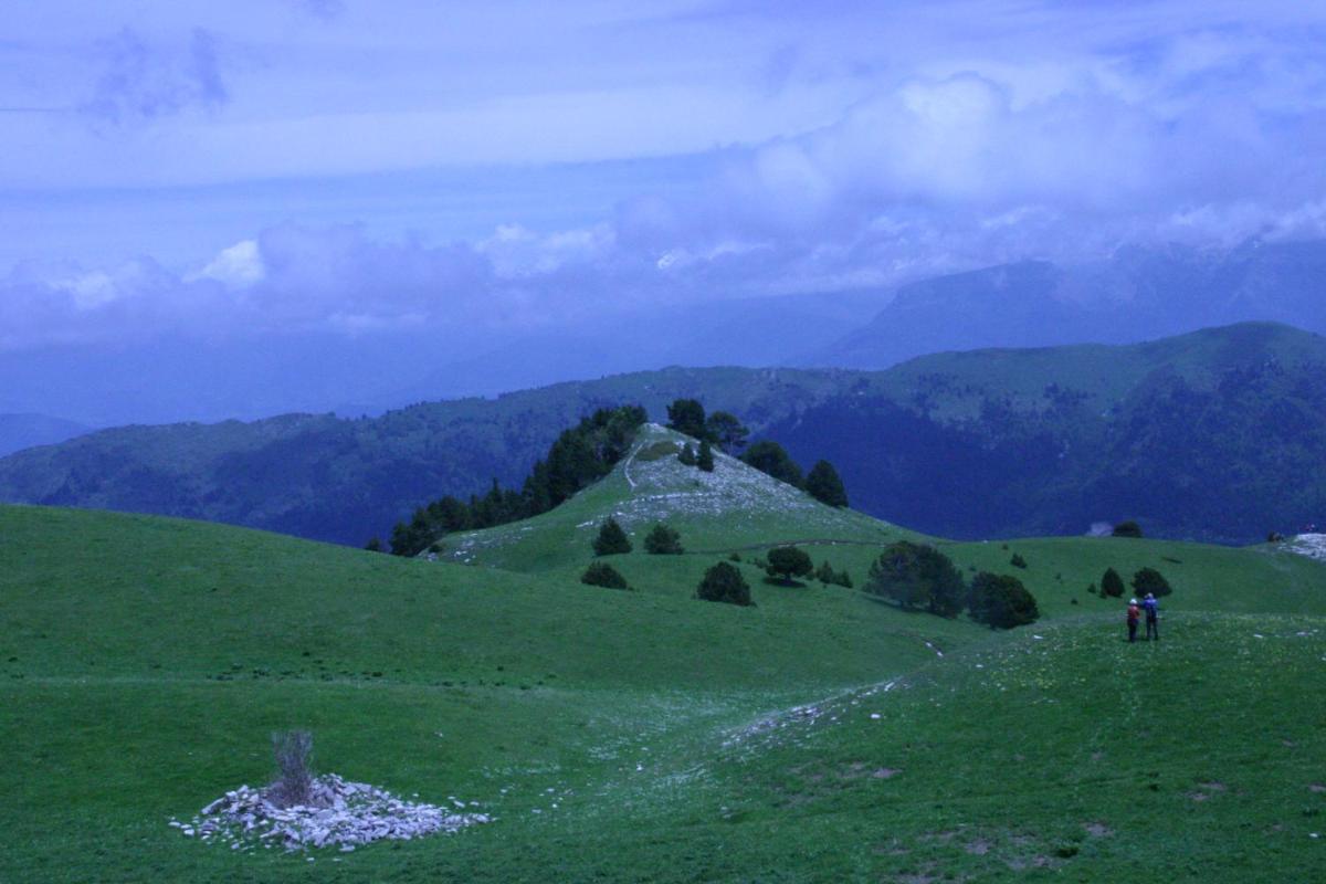 Photo 30