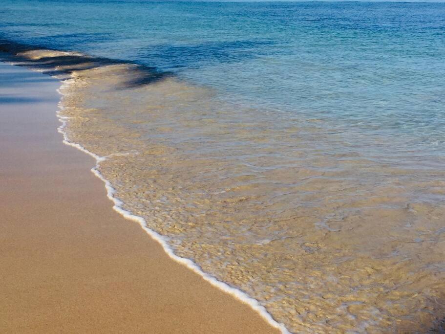 Las Terrenas Haven