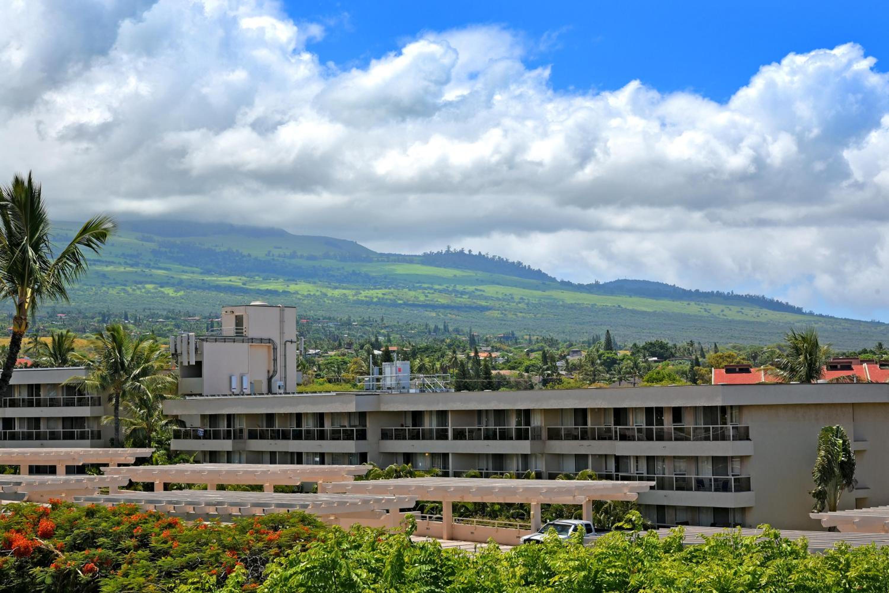 Kihei Akahi C616 · AKH C616 Cozy Condo Near Beach w Ocean View P