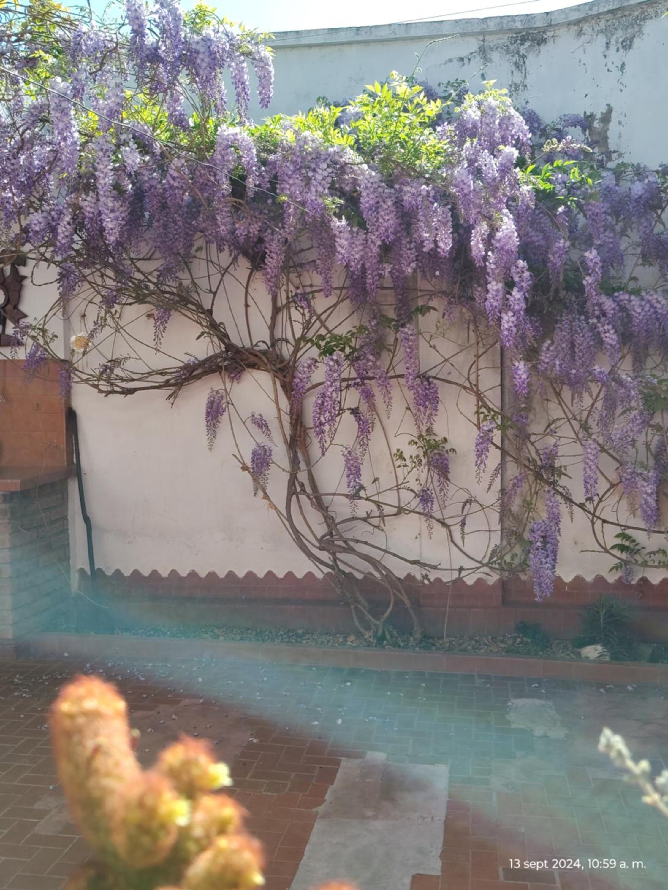 Casa Kuyay