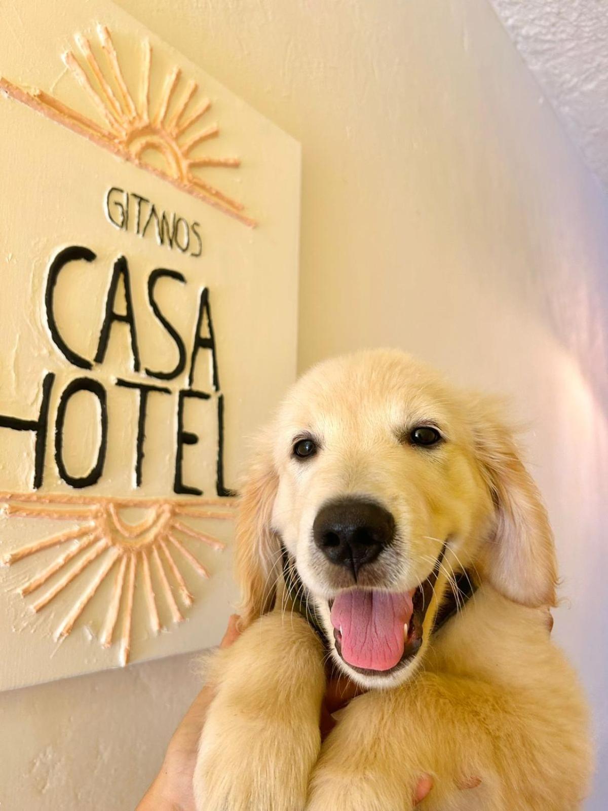 Casa HotelGitanos