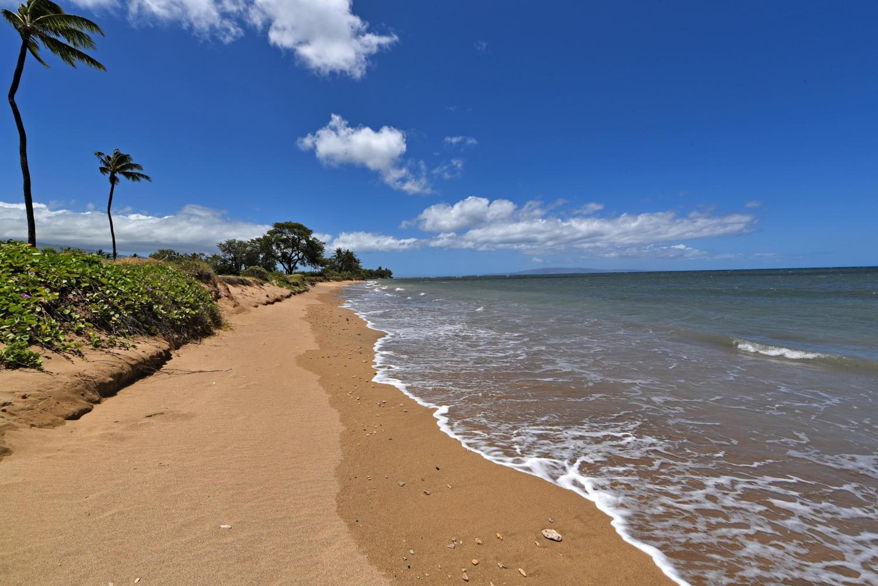 Maui Sunset B402 · MSNB402 OceanFront 1Bedroom Getaway w Pool