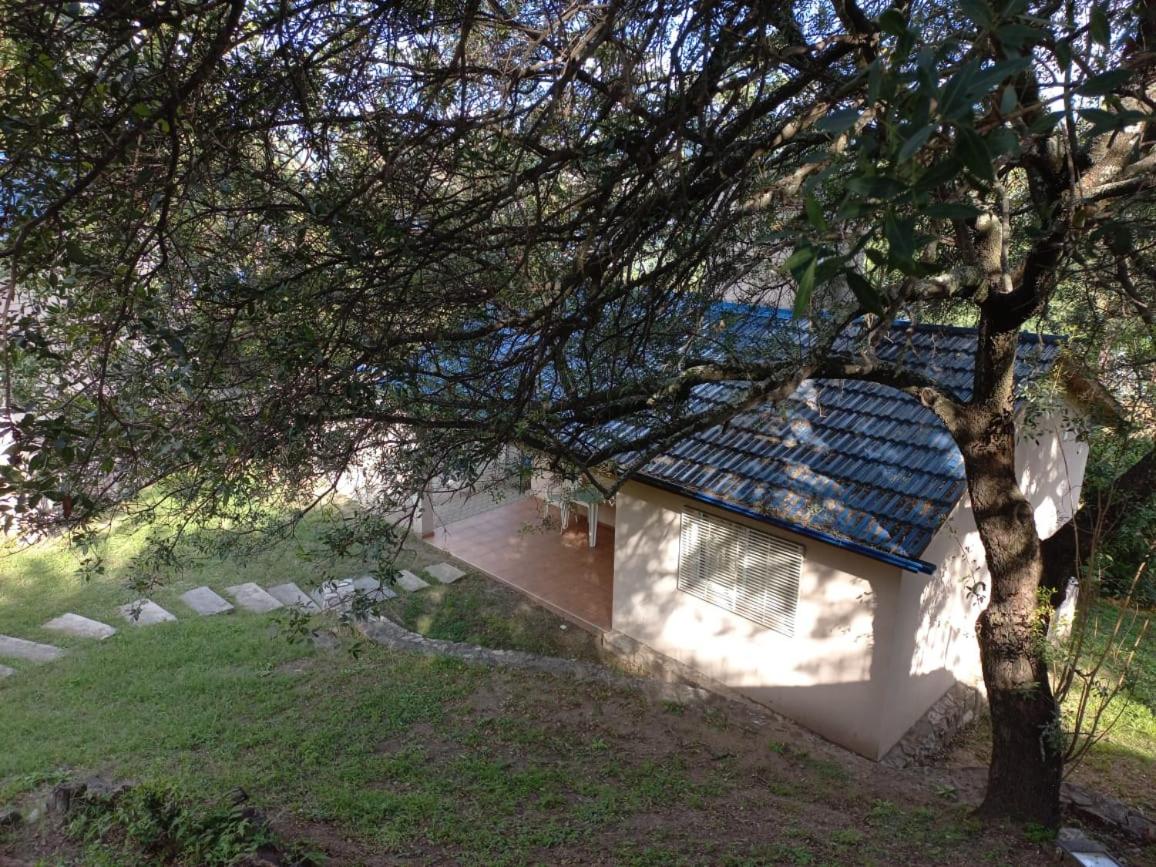 Los Pinos Aires del Lago