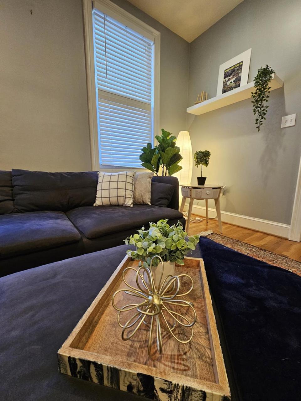 Washington DC Vacations - Peaceful 3 BR with Parking, Family Friendly near MedStar - Property Image 10