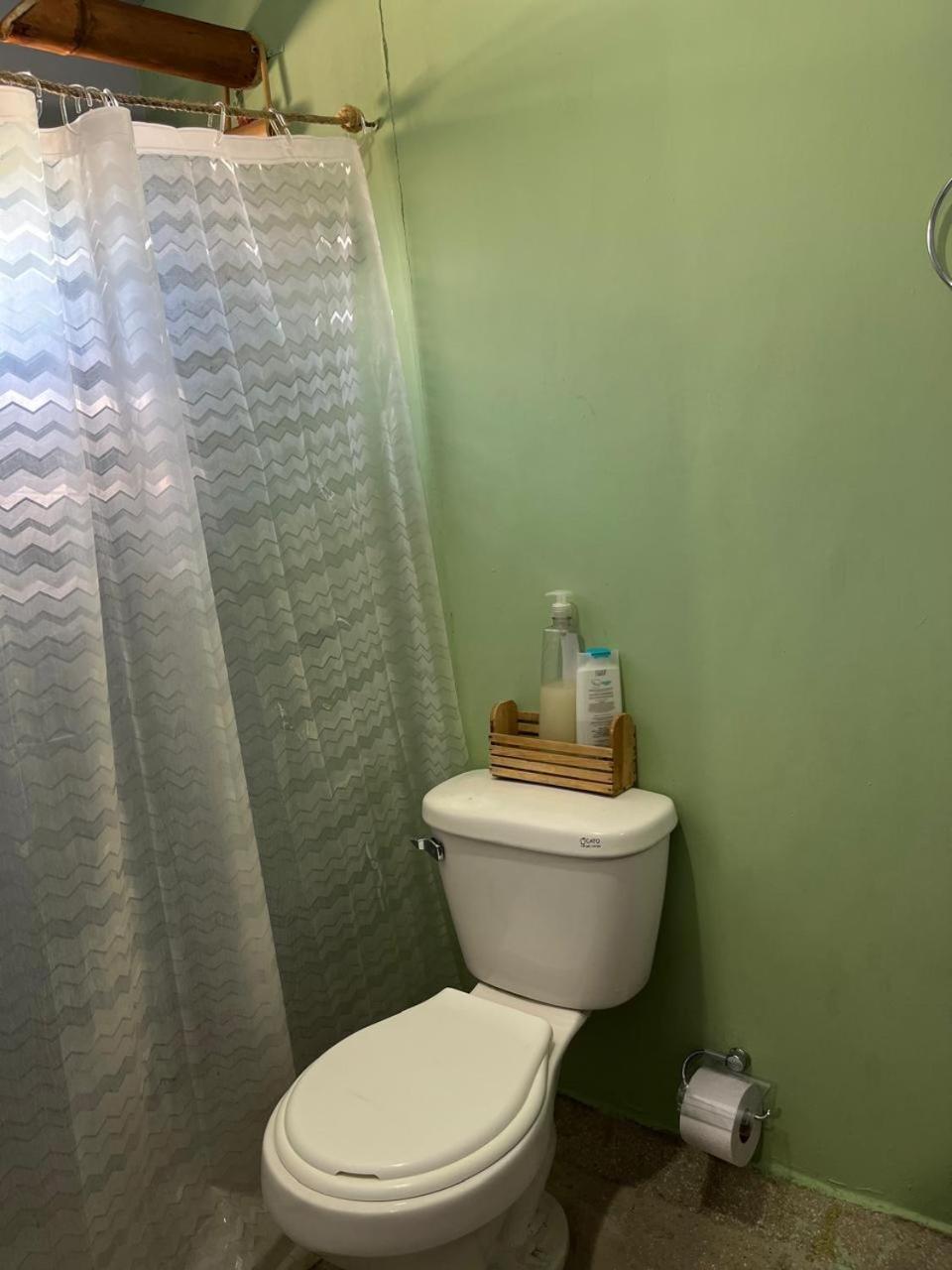 Photo 19
