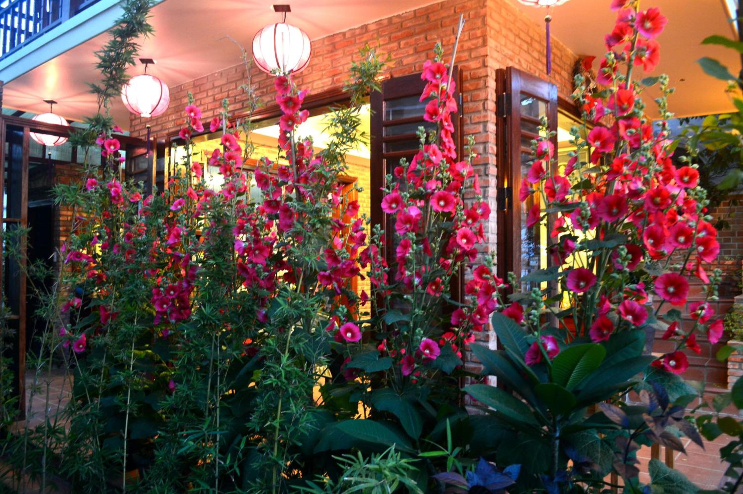 Villa Orchid Garden Riverside Hoi An