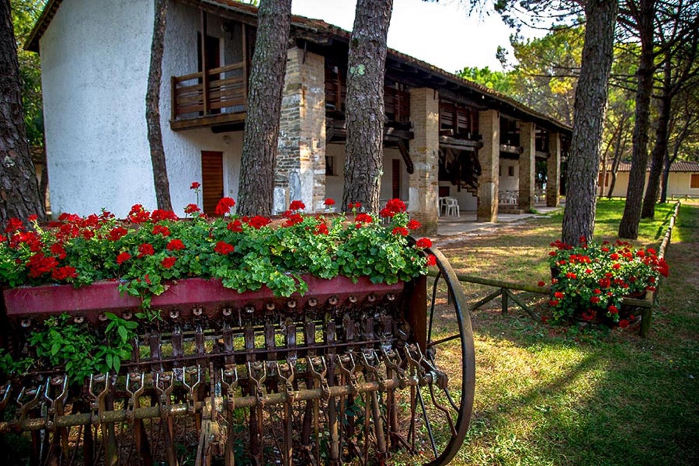 Belvedere Pineta Camping Village Grado view 4
