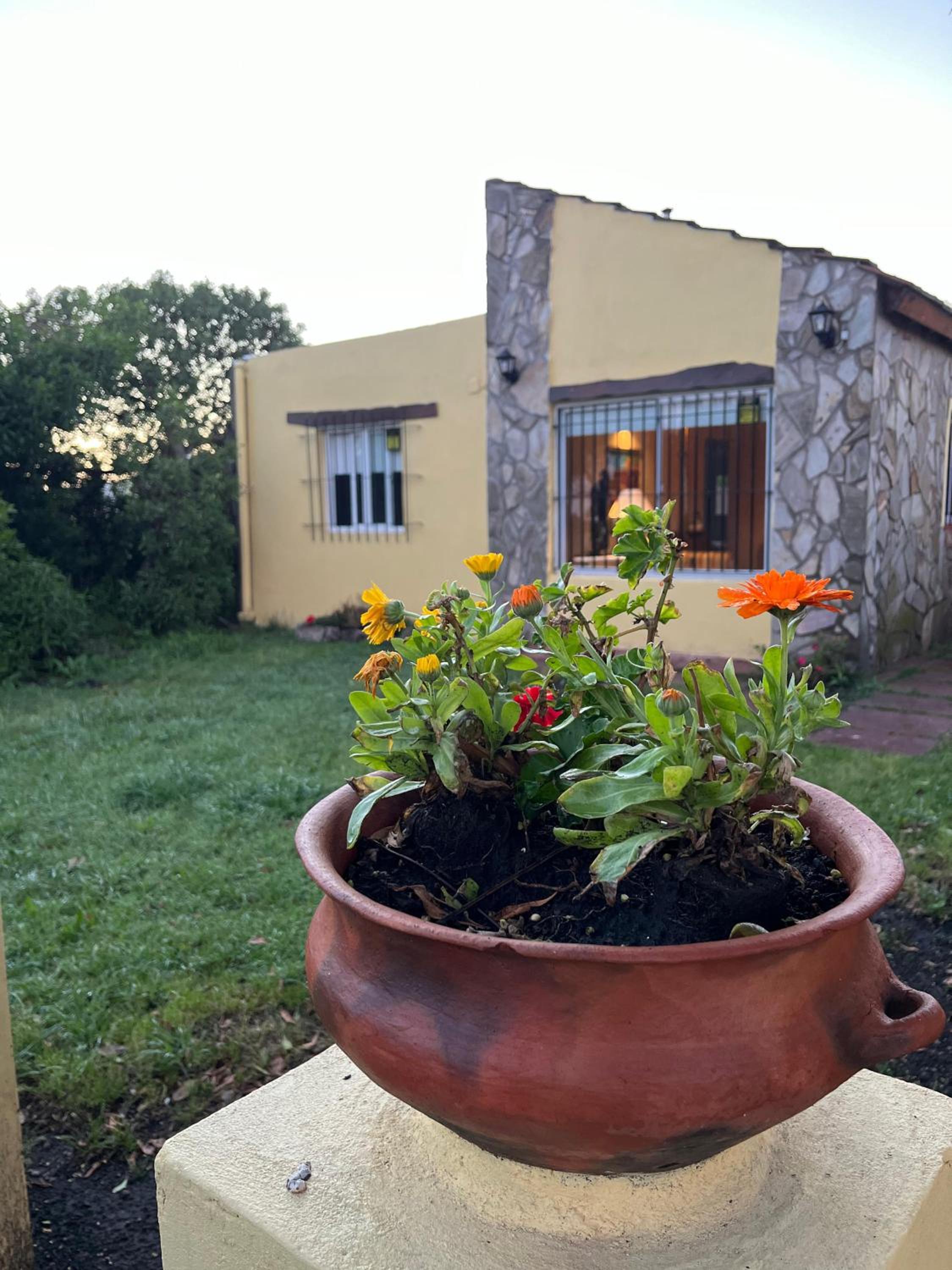 el maiten