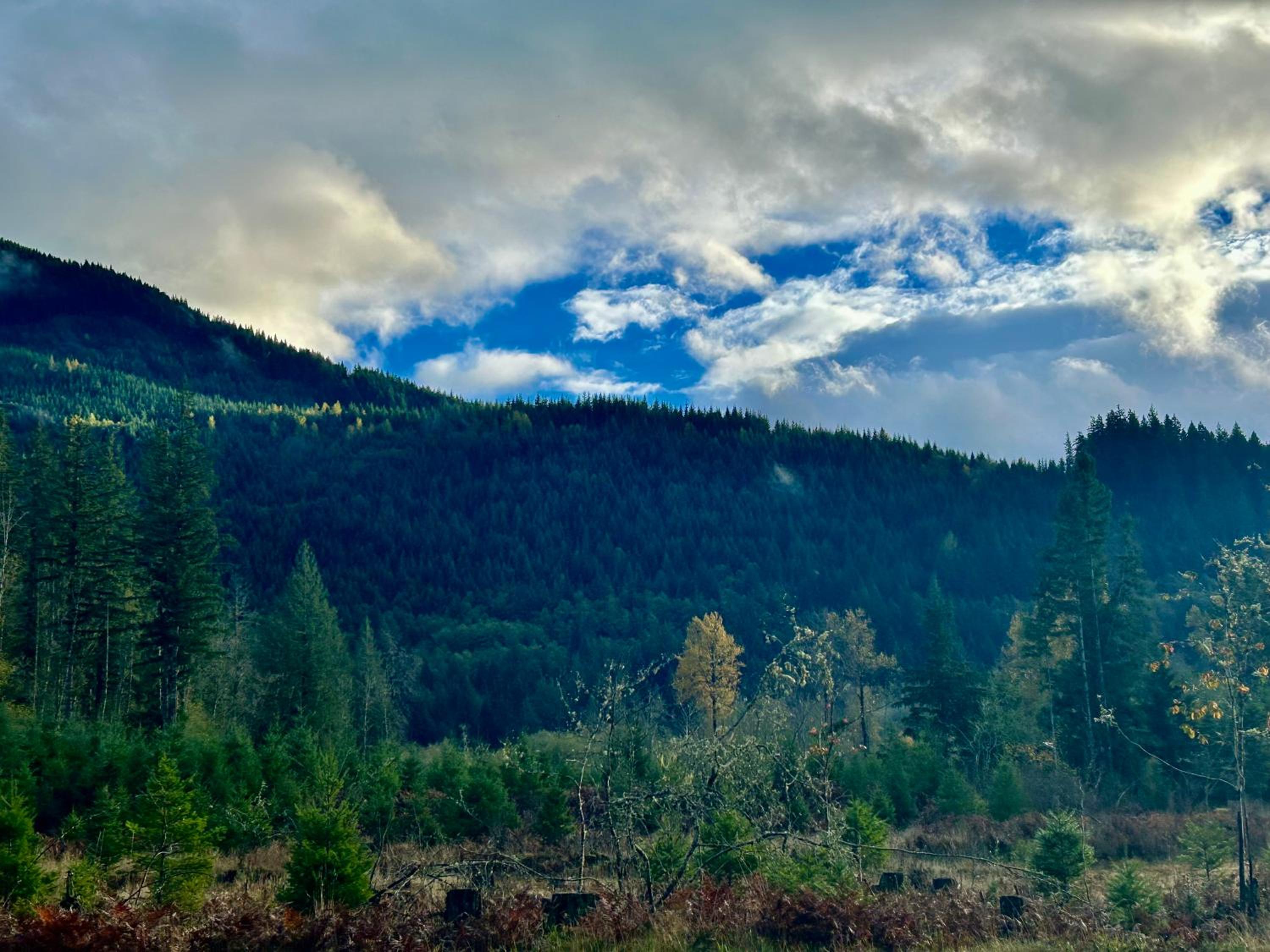 New! Modern Mountain Getaway view 4