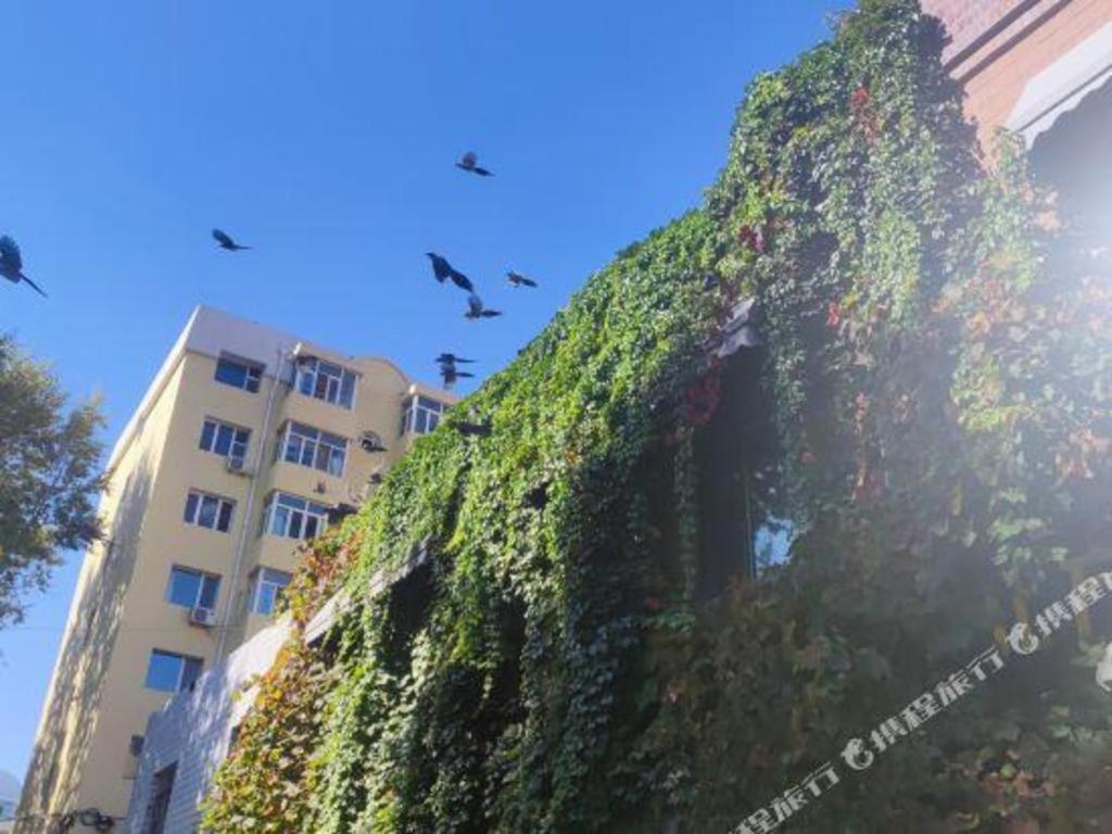 The North International Youth Hostel