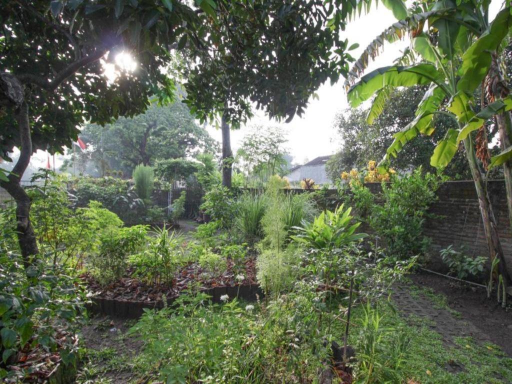BHUMI Hostel