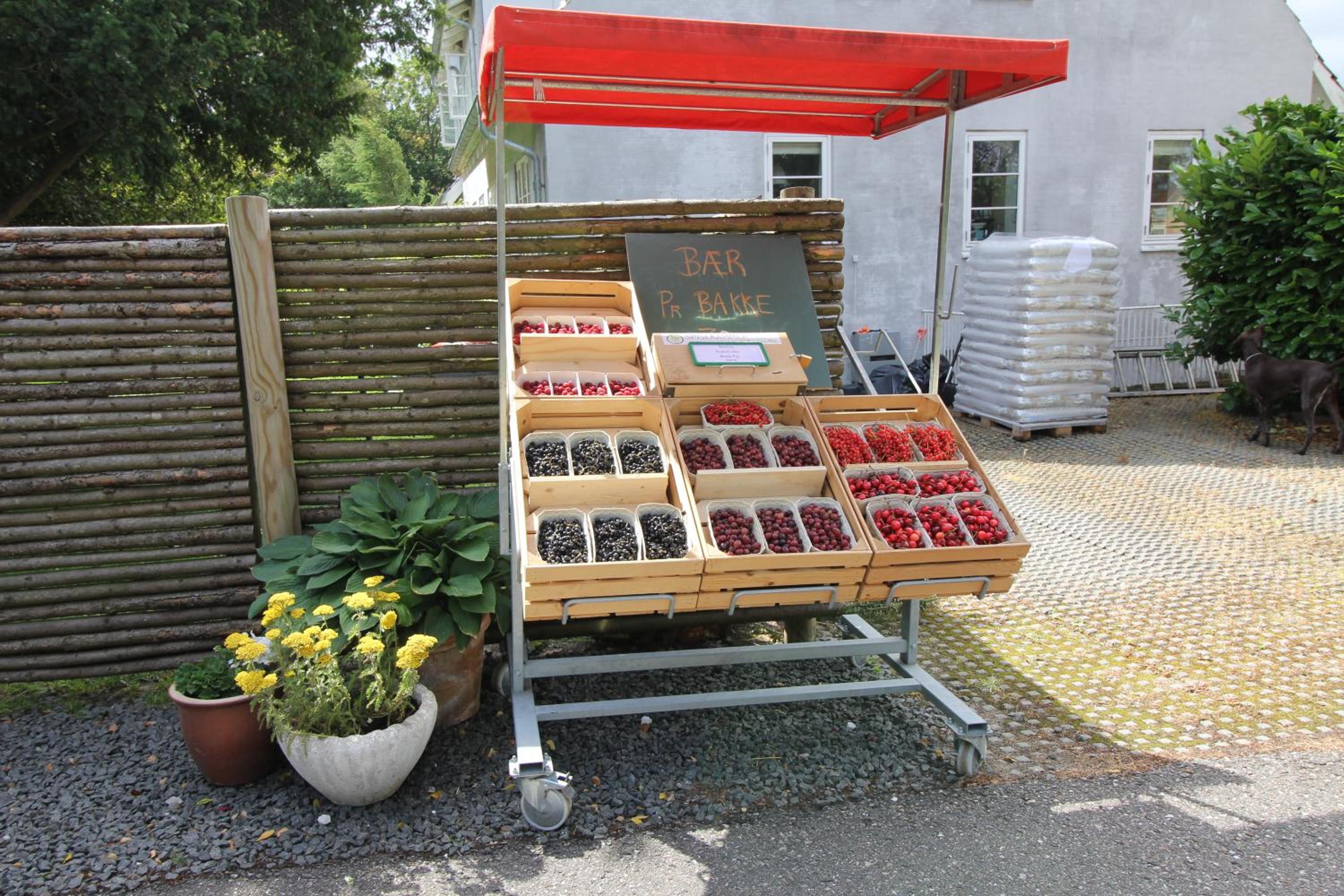 Strandsegård Ferielejlighed