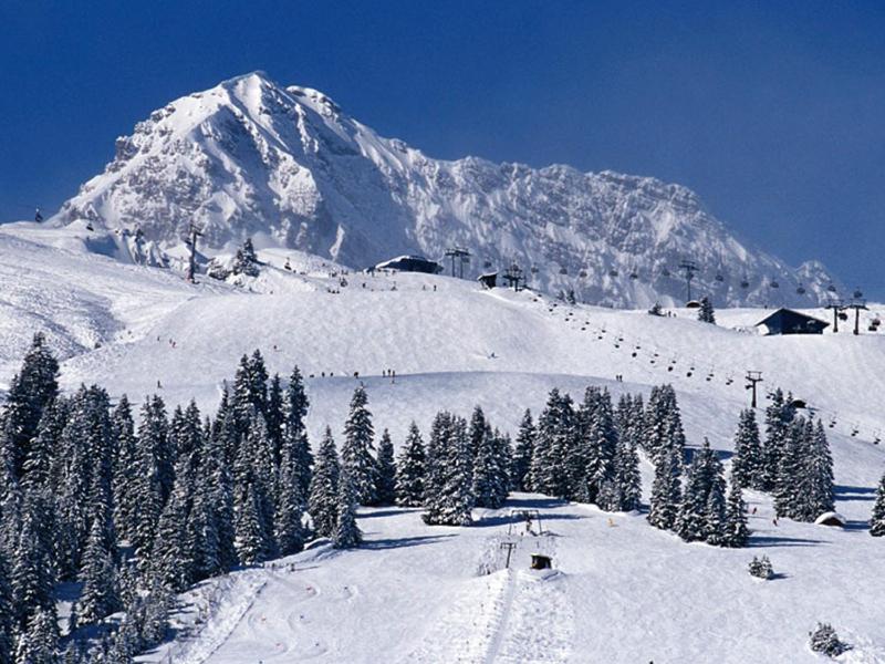 Pension Grissemann