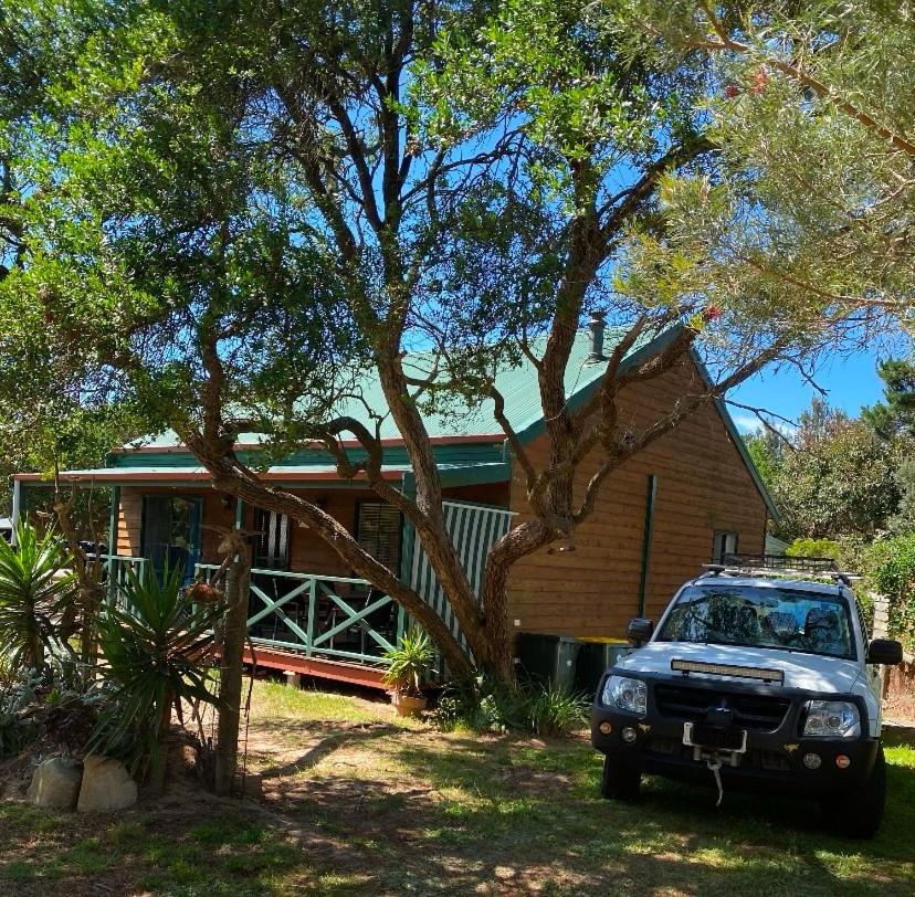Banksia Views