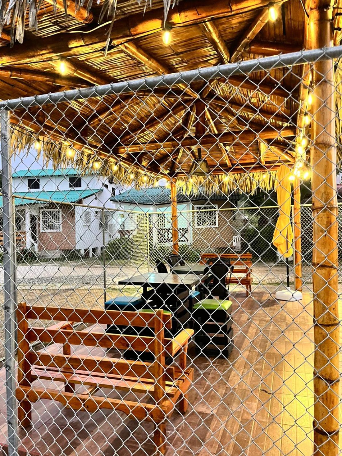 Photo 42