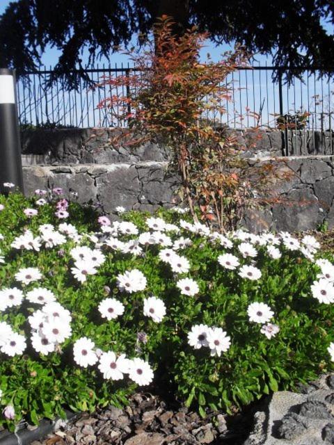 Photo 67