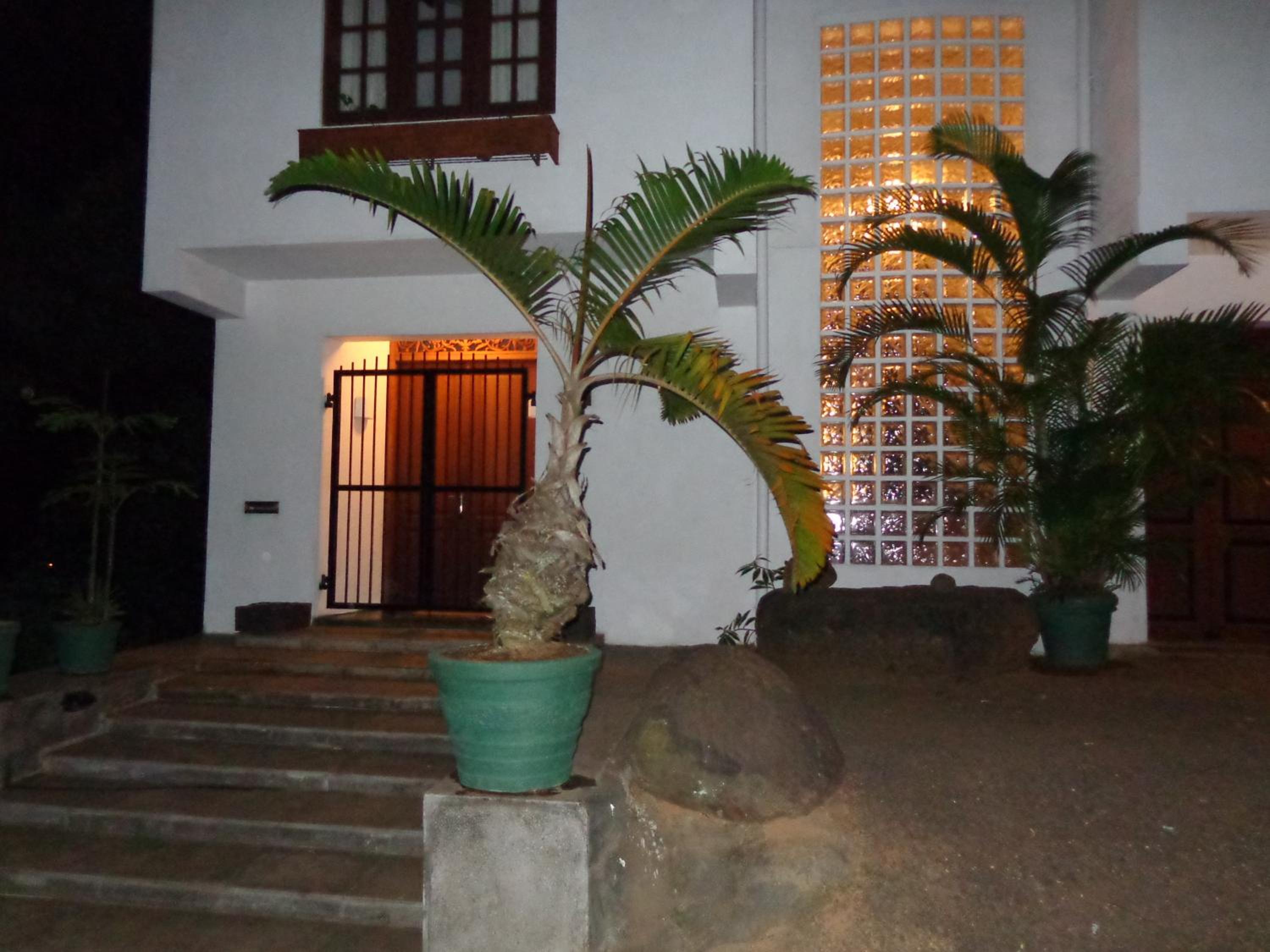 Photo 49