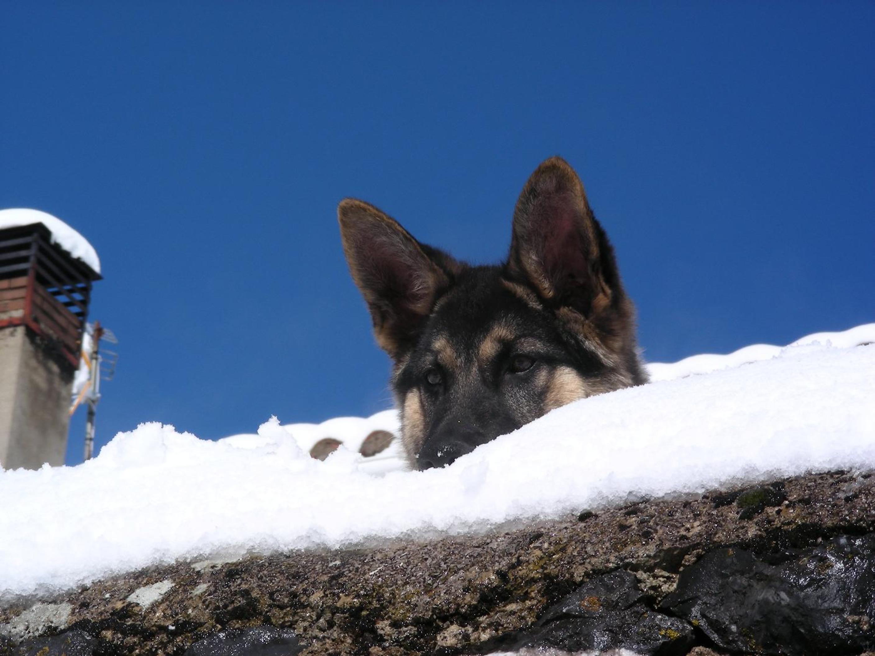 El Invernal de Picos