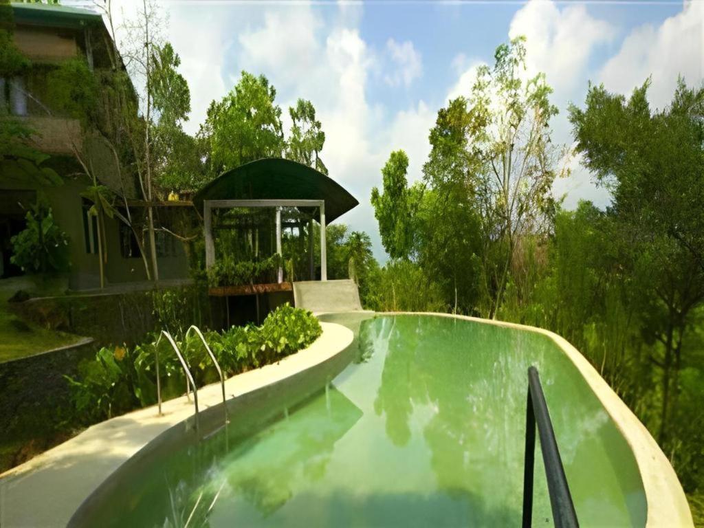 Mangrove Escapes Resort