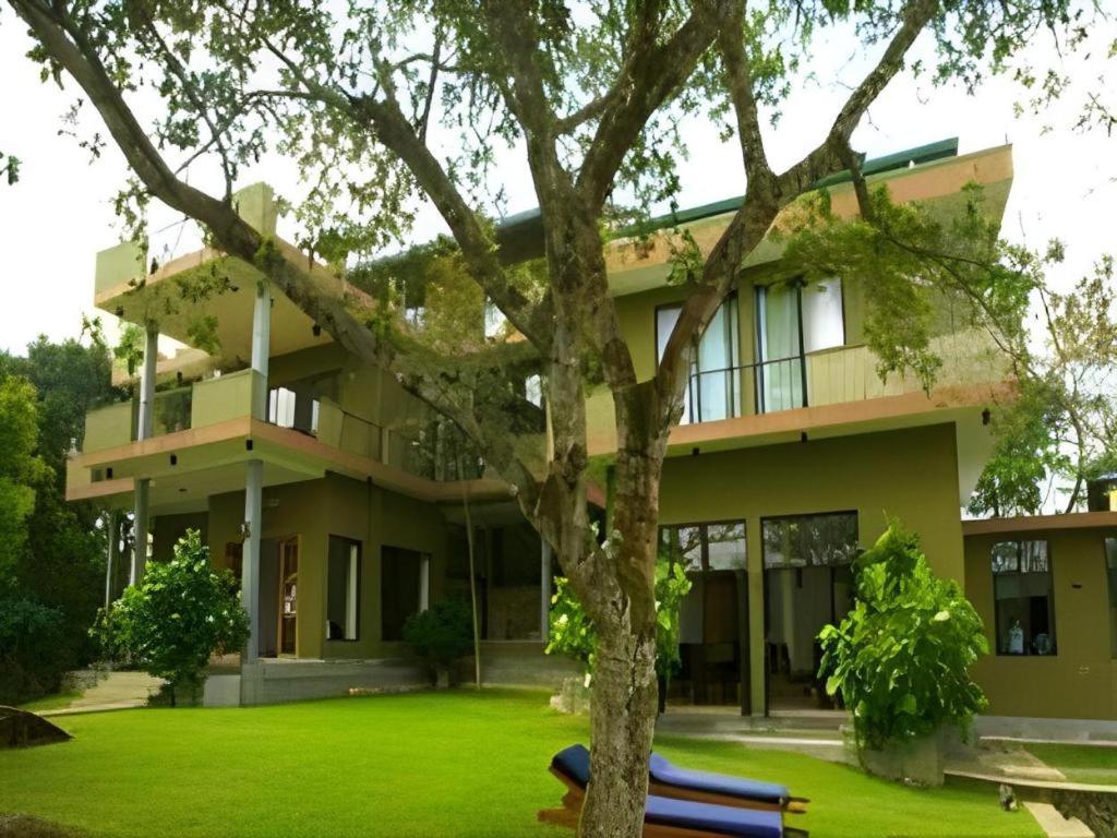 Mangrove Escapes Resort