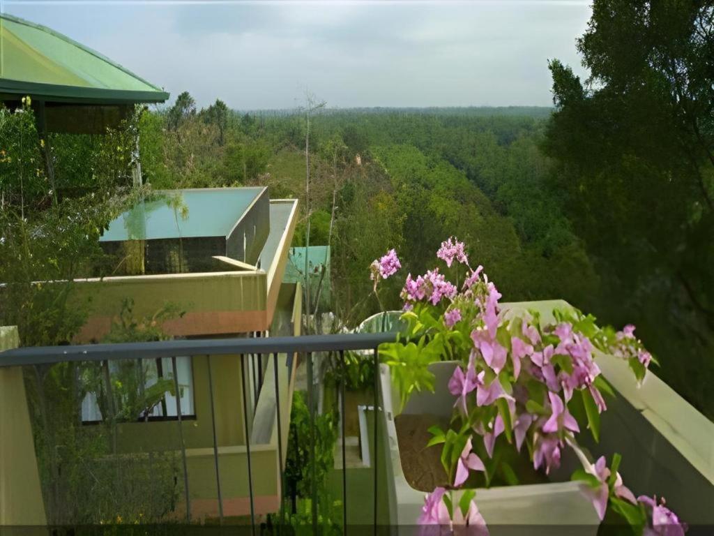 Mangrove Escapes Resort