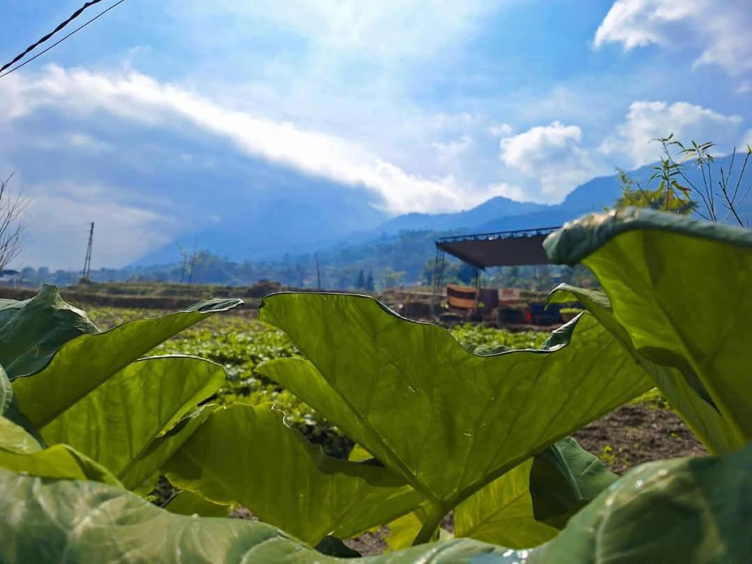 SapaFamily Eco