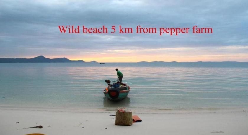 Pepper Farm Phu Quoc Bungalow