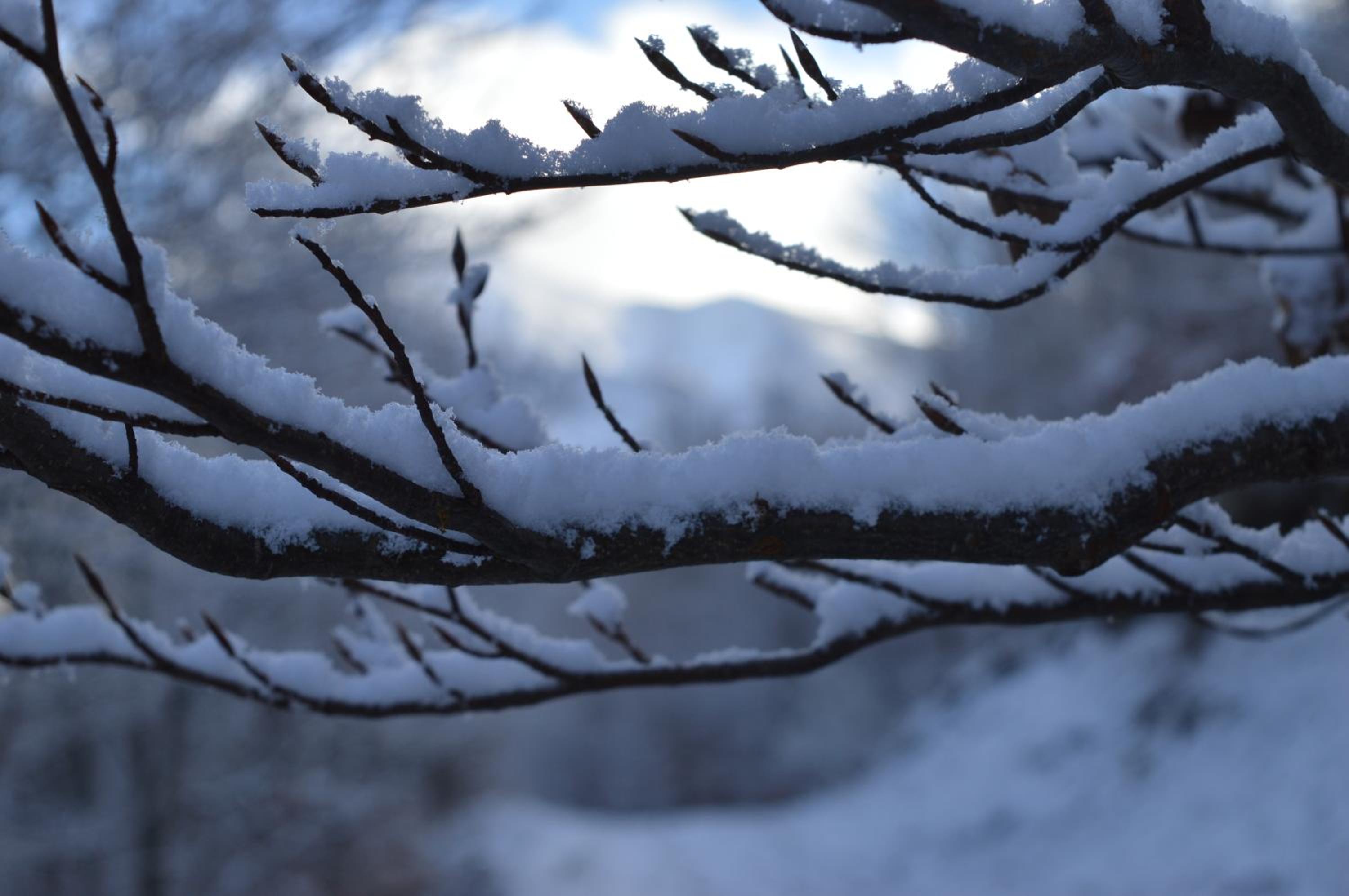 El Invernal de Picos