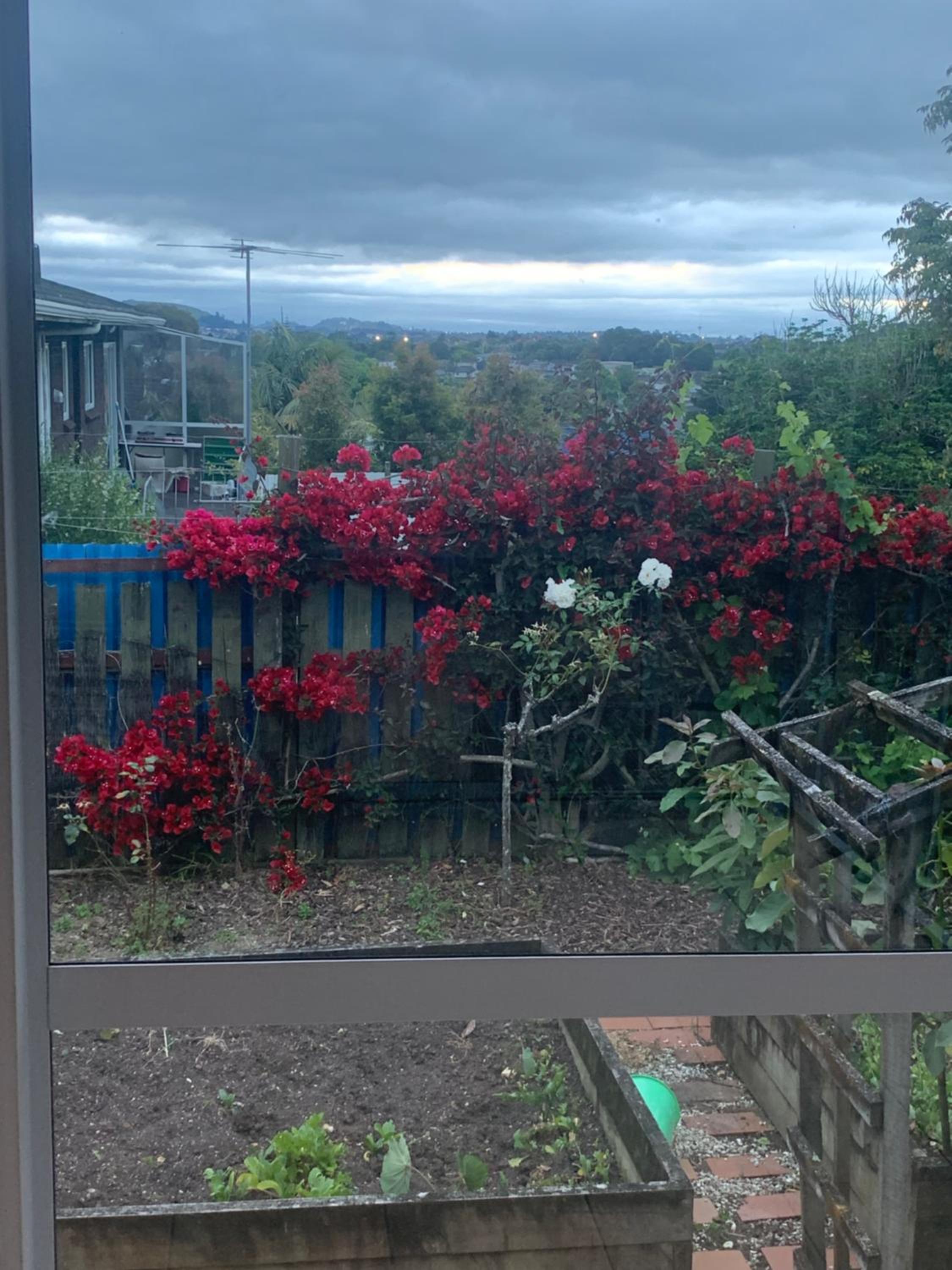 double room view 5