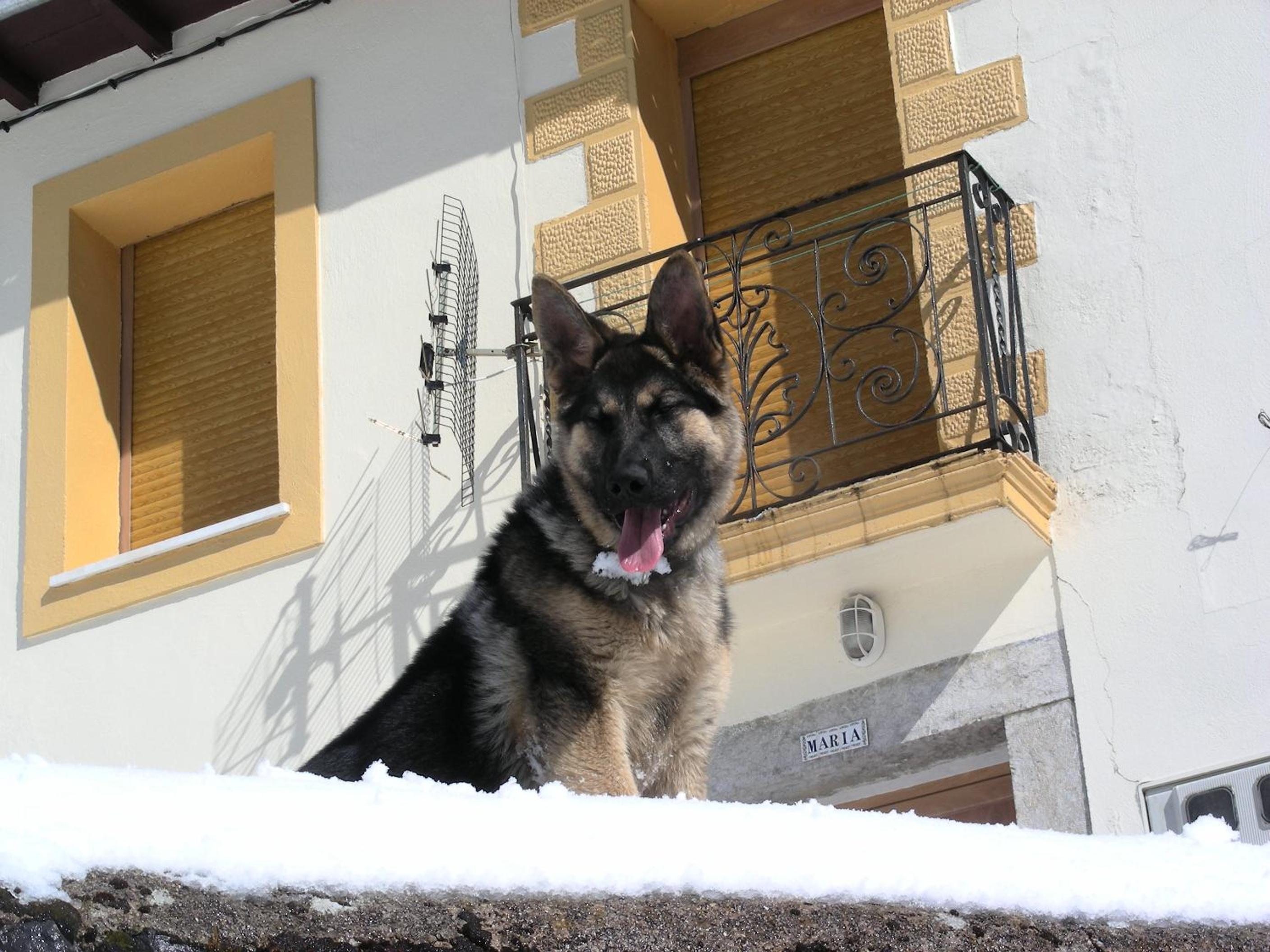 El Invernal de Picos