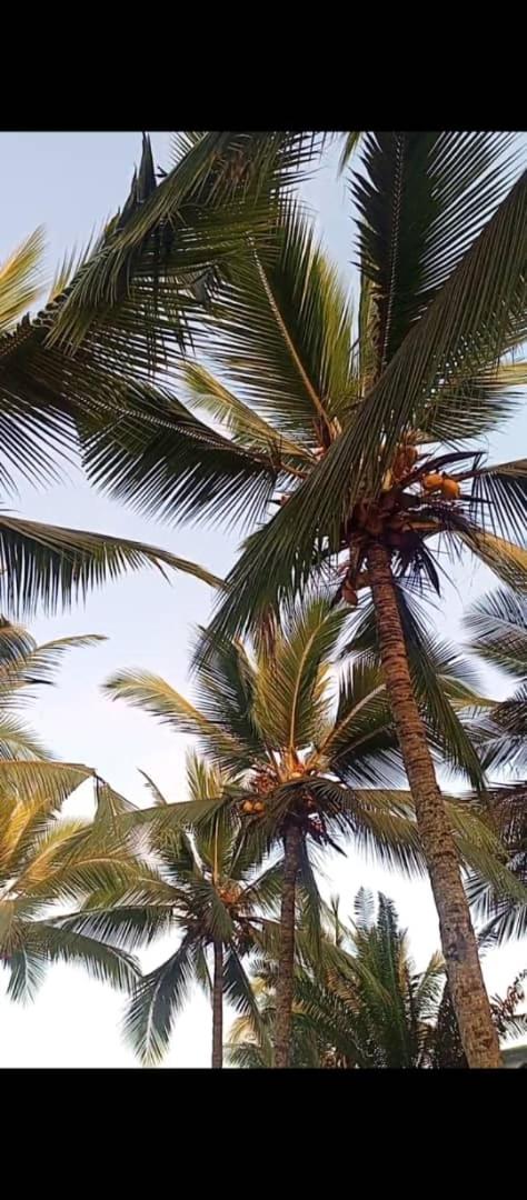 Les Villas Bohèmes de Kribi