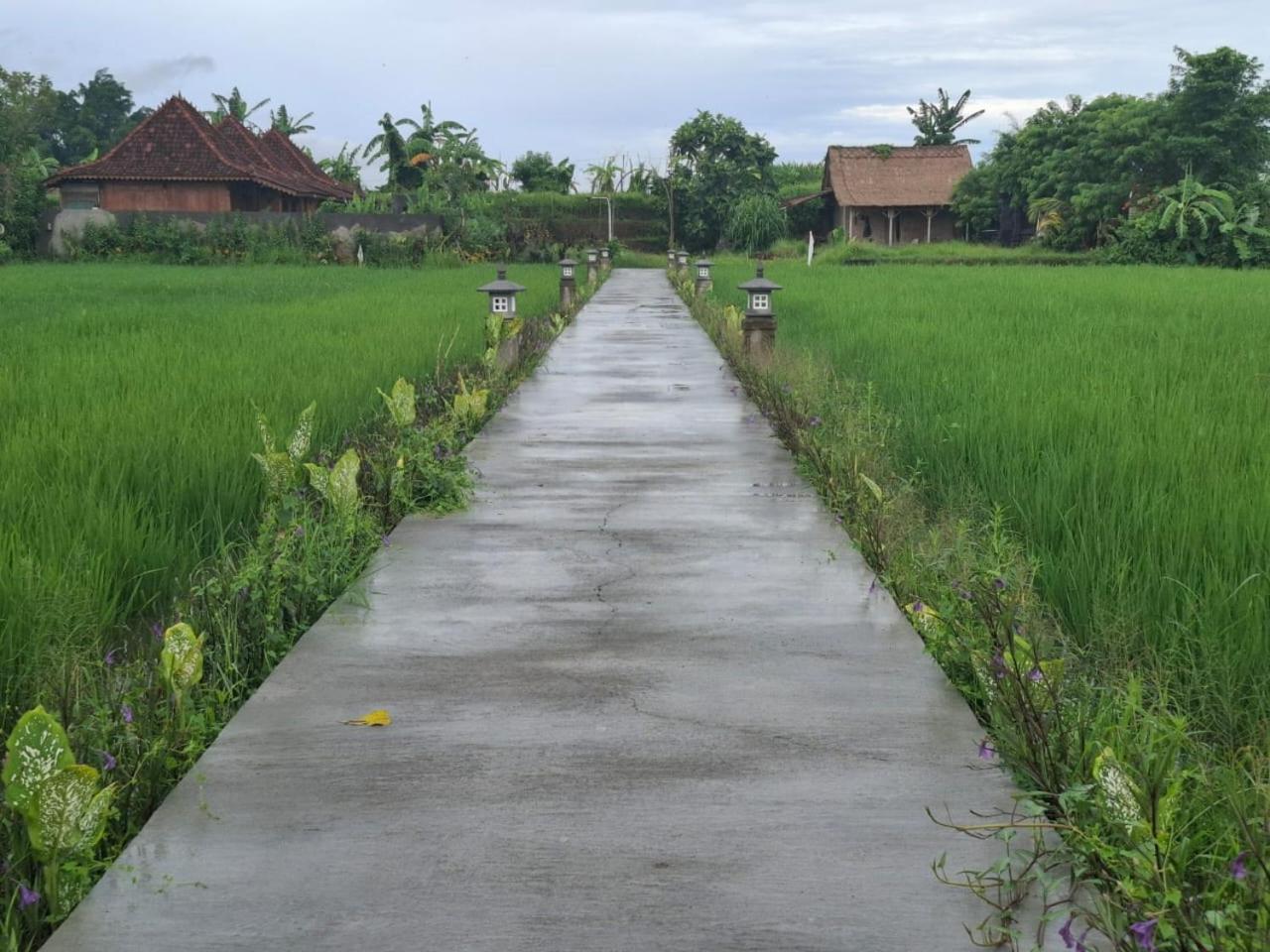 Pondok Padiku Villa by Nusantara Hospitality