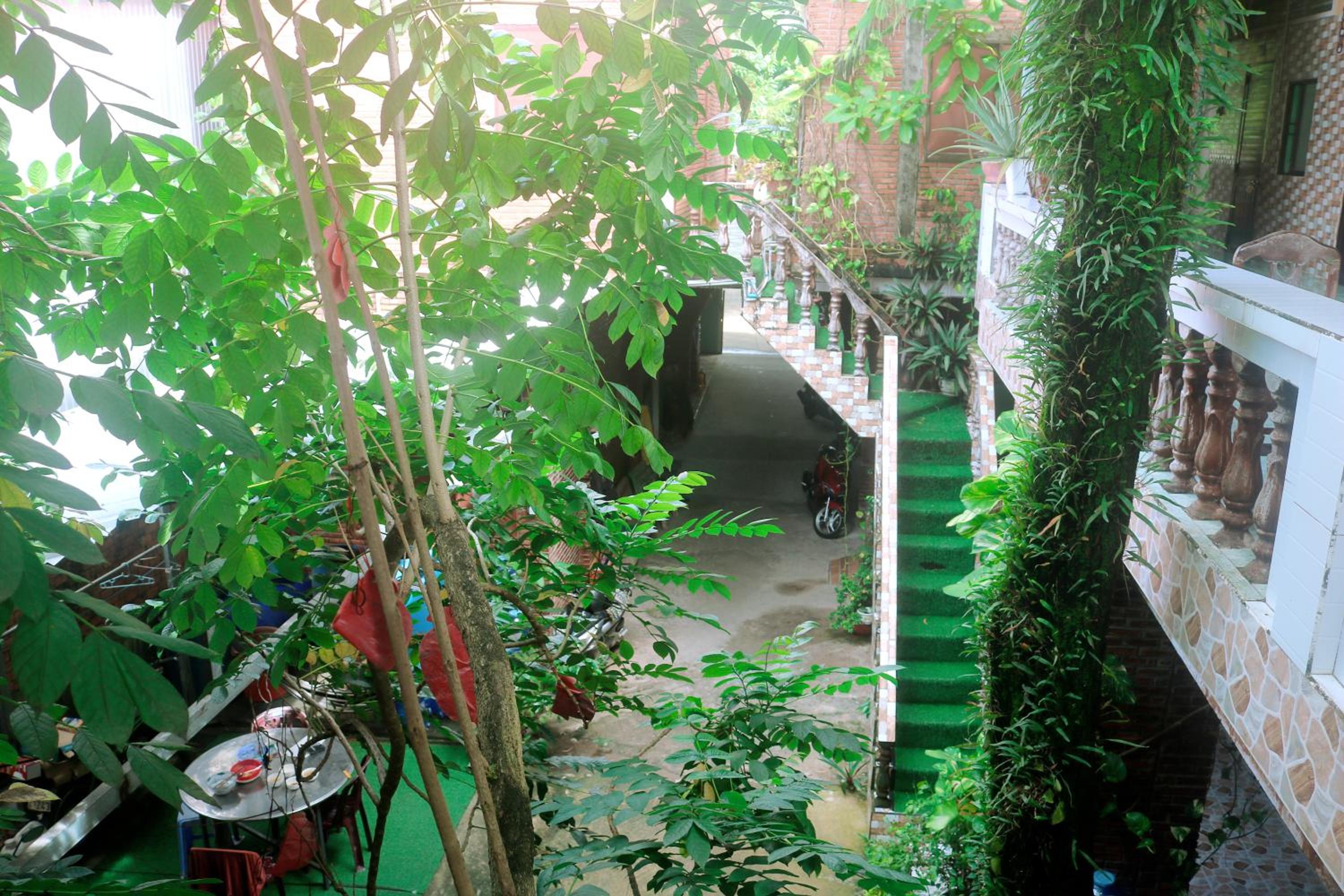 Hai Anh Guesthouse view 3