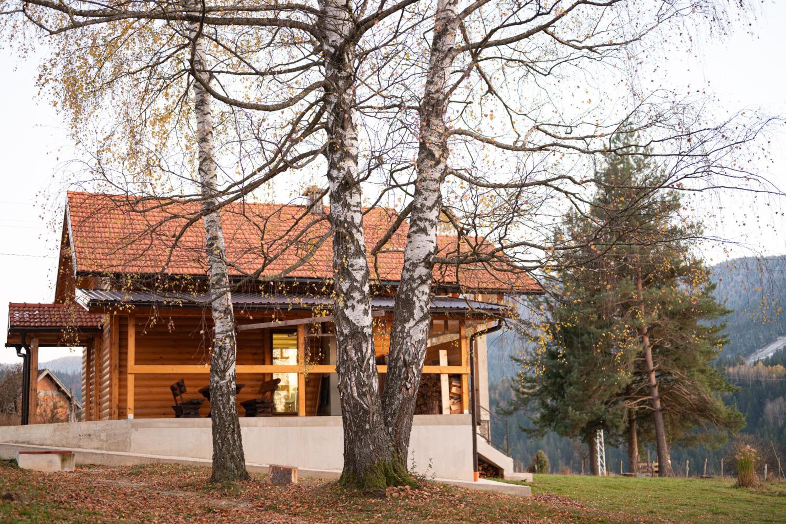 Brvnara Vidra