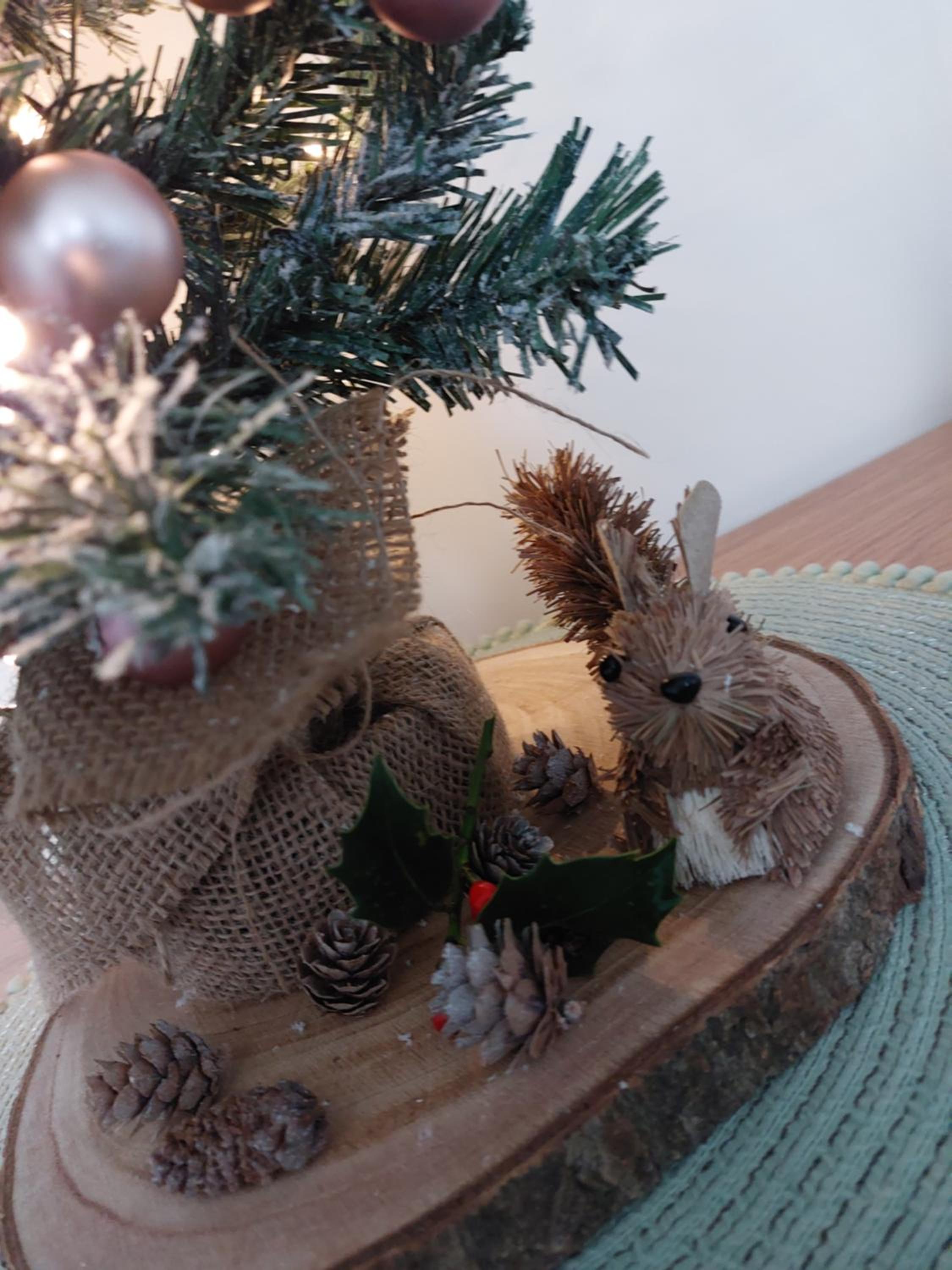 The Squirrels- Alresford, Essex view 5