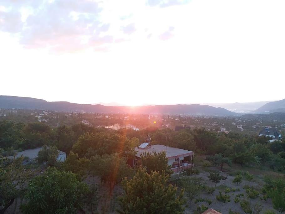 Photo 24