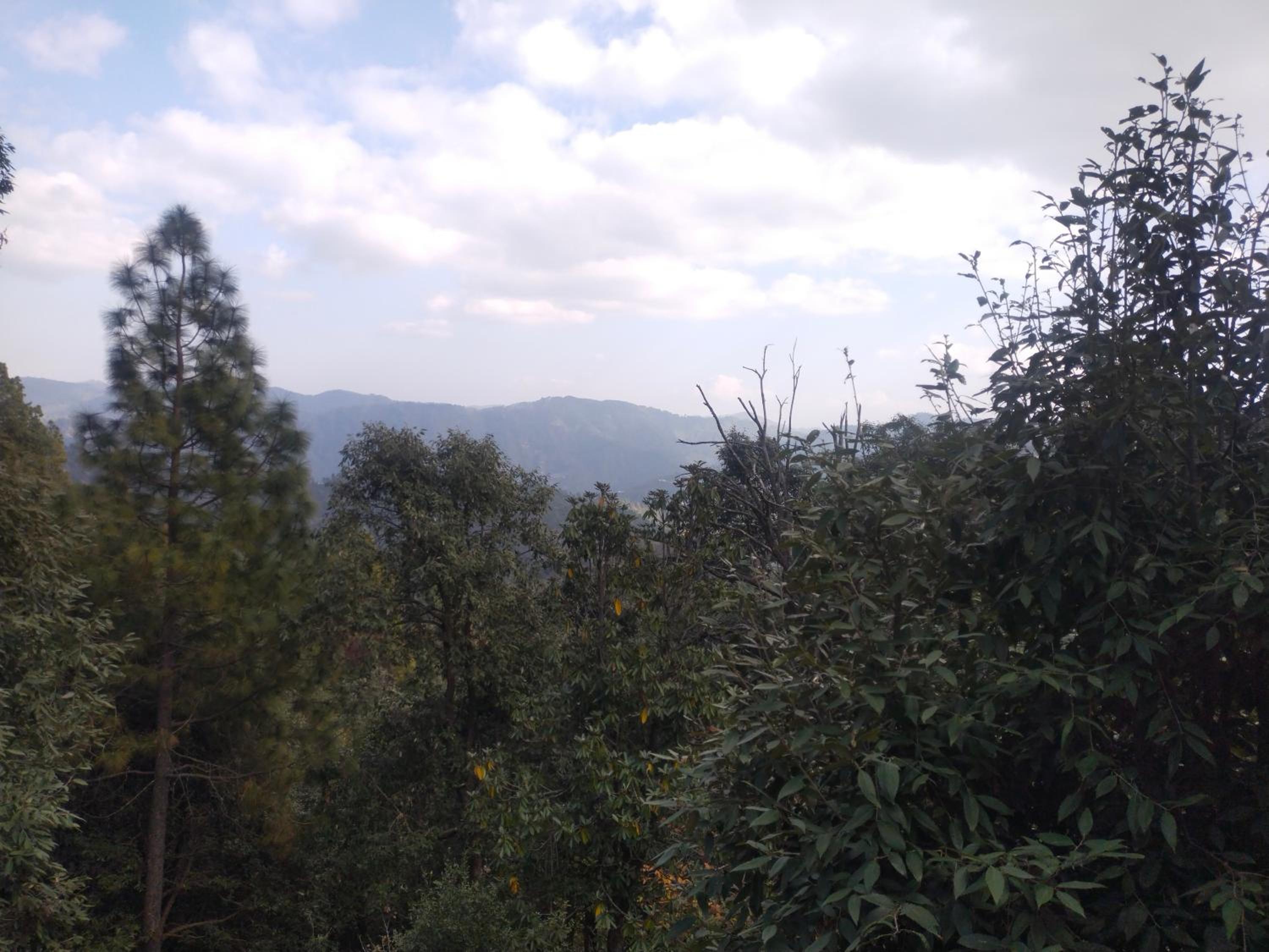 Way Wood Wind Lodge