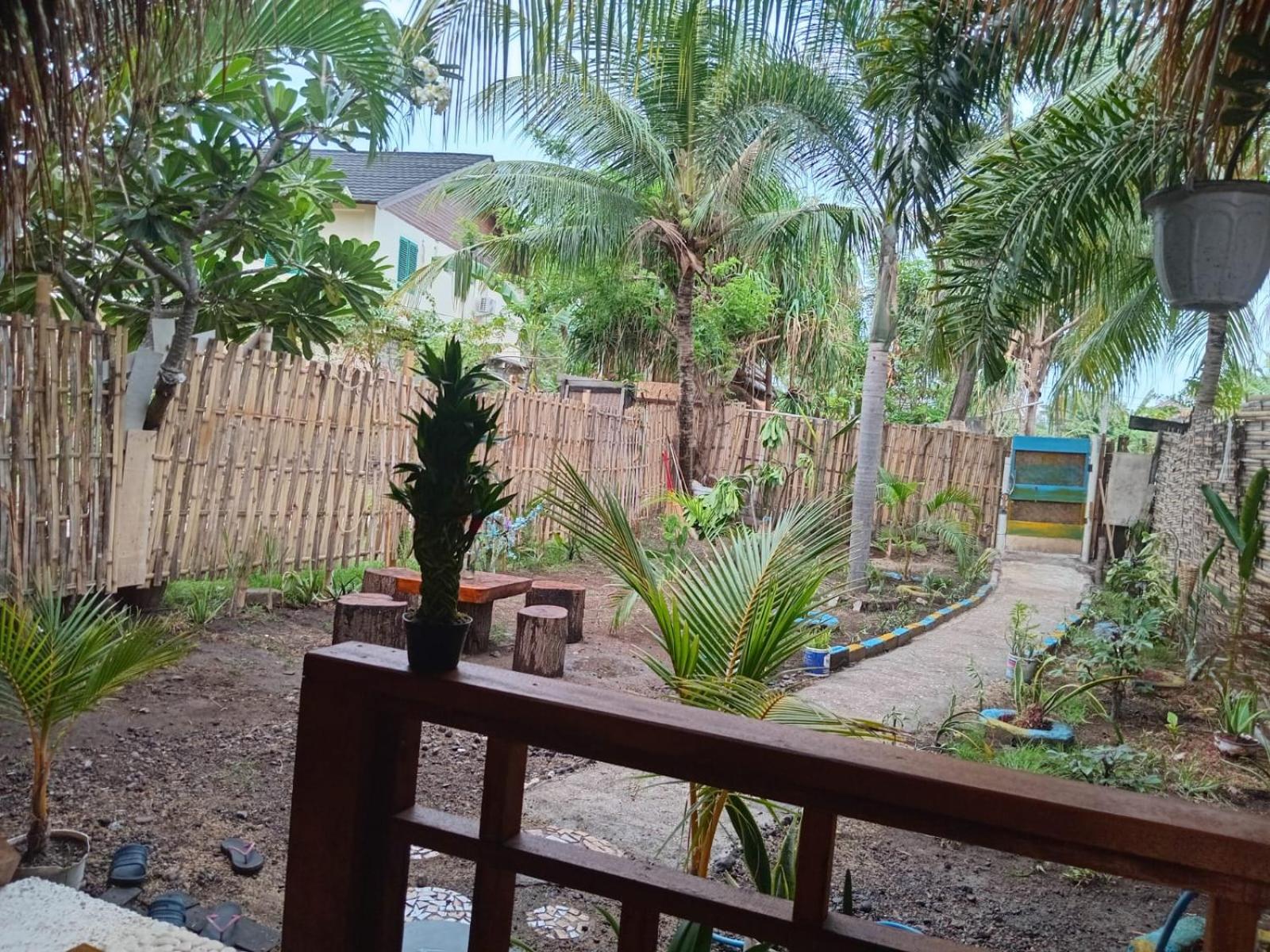 Photo 7