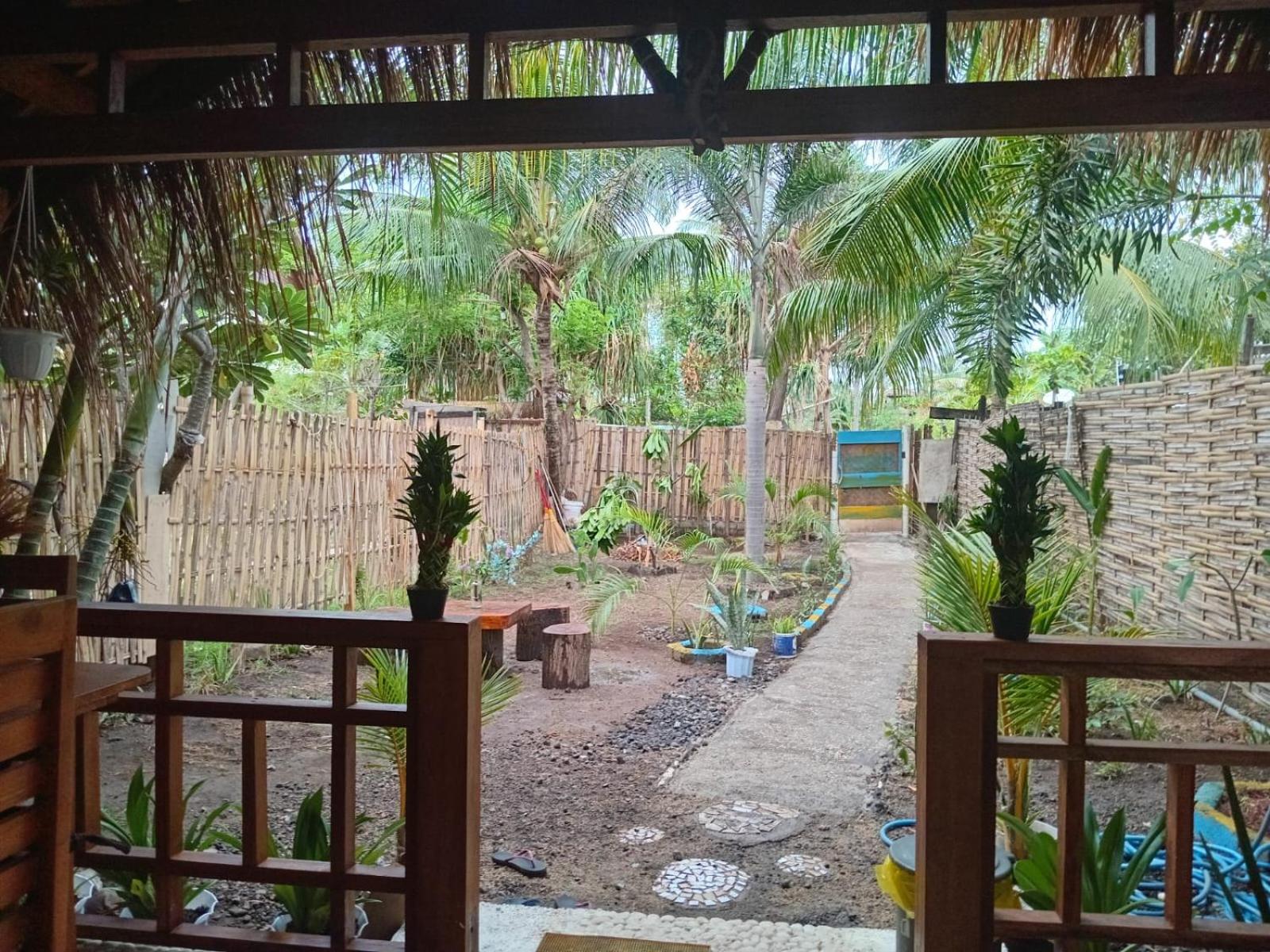 Photo 25