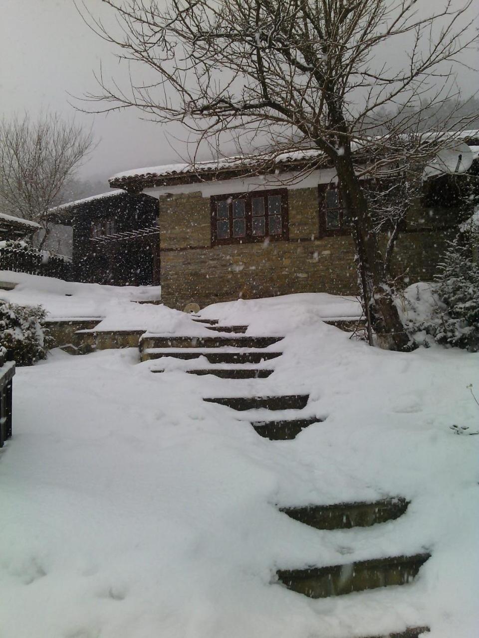 Guest House Zarkova Kushta