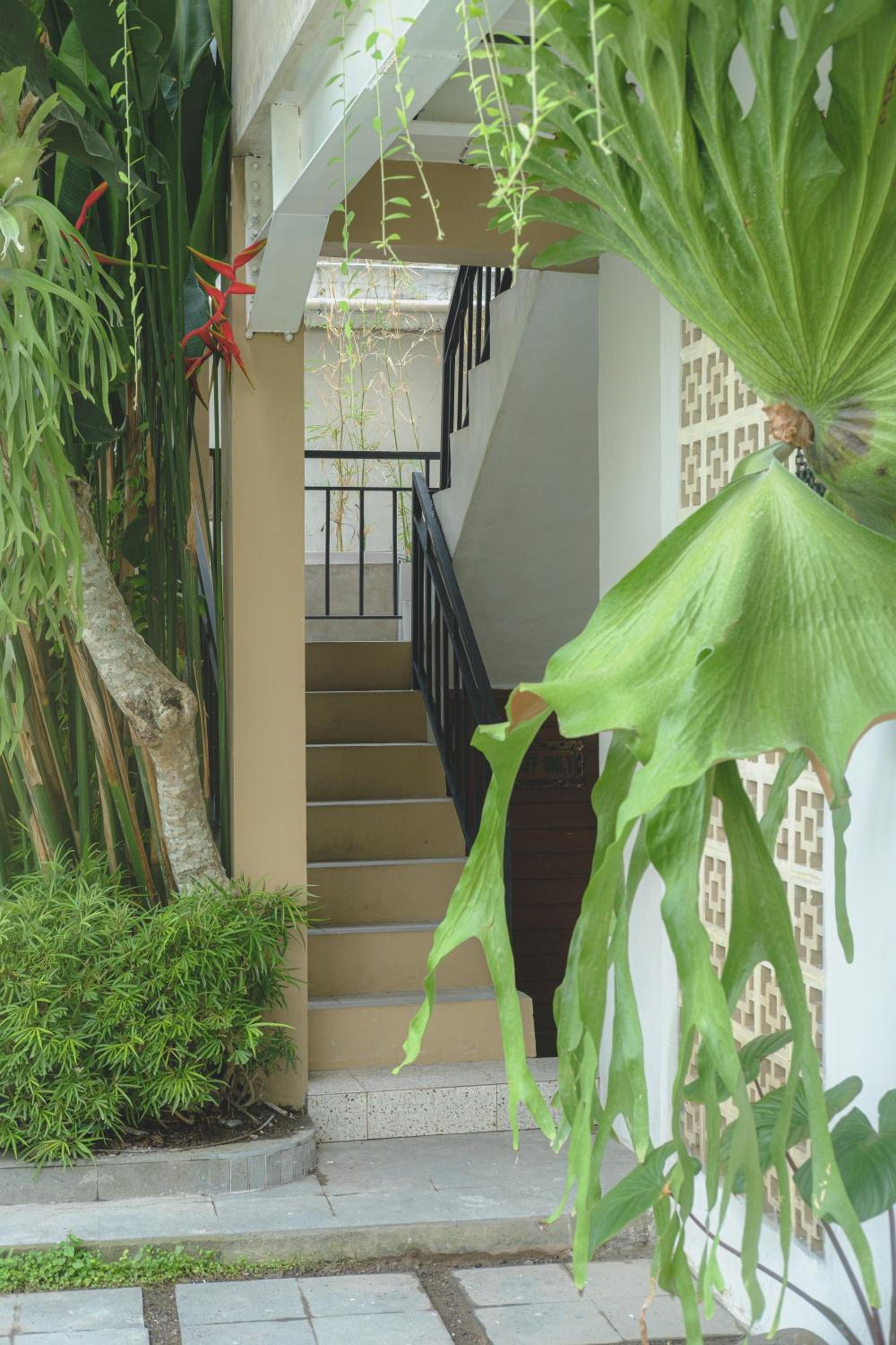Gypsy Lust Ubud view 2