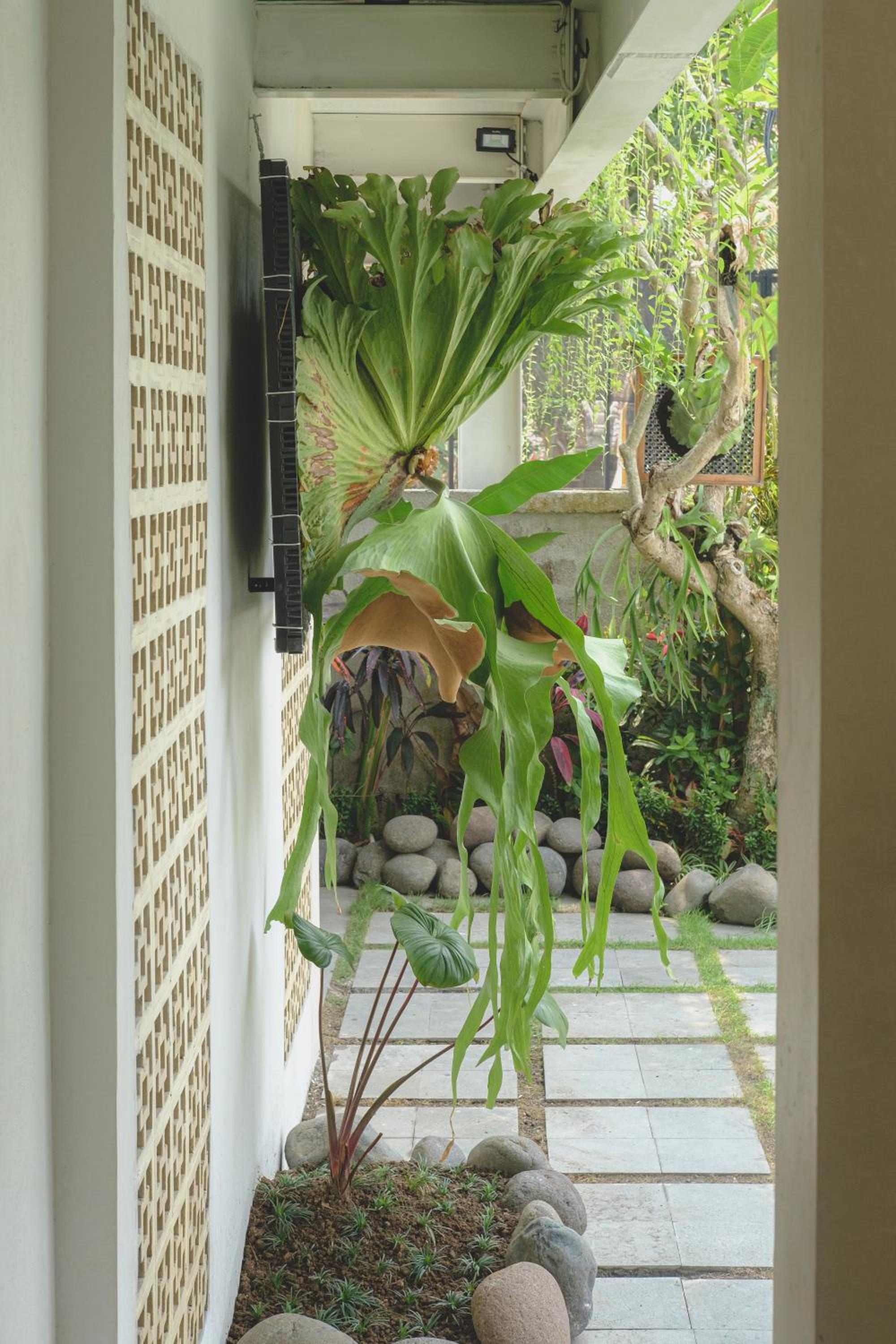 Gypsy Lust Ubud view 3