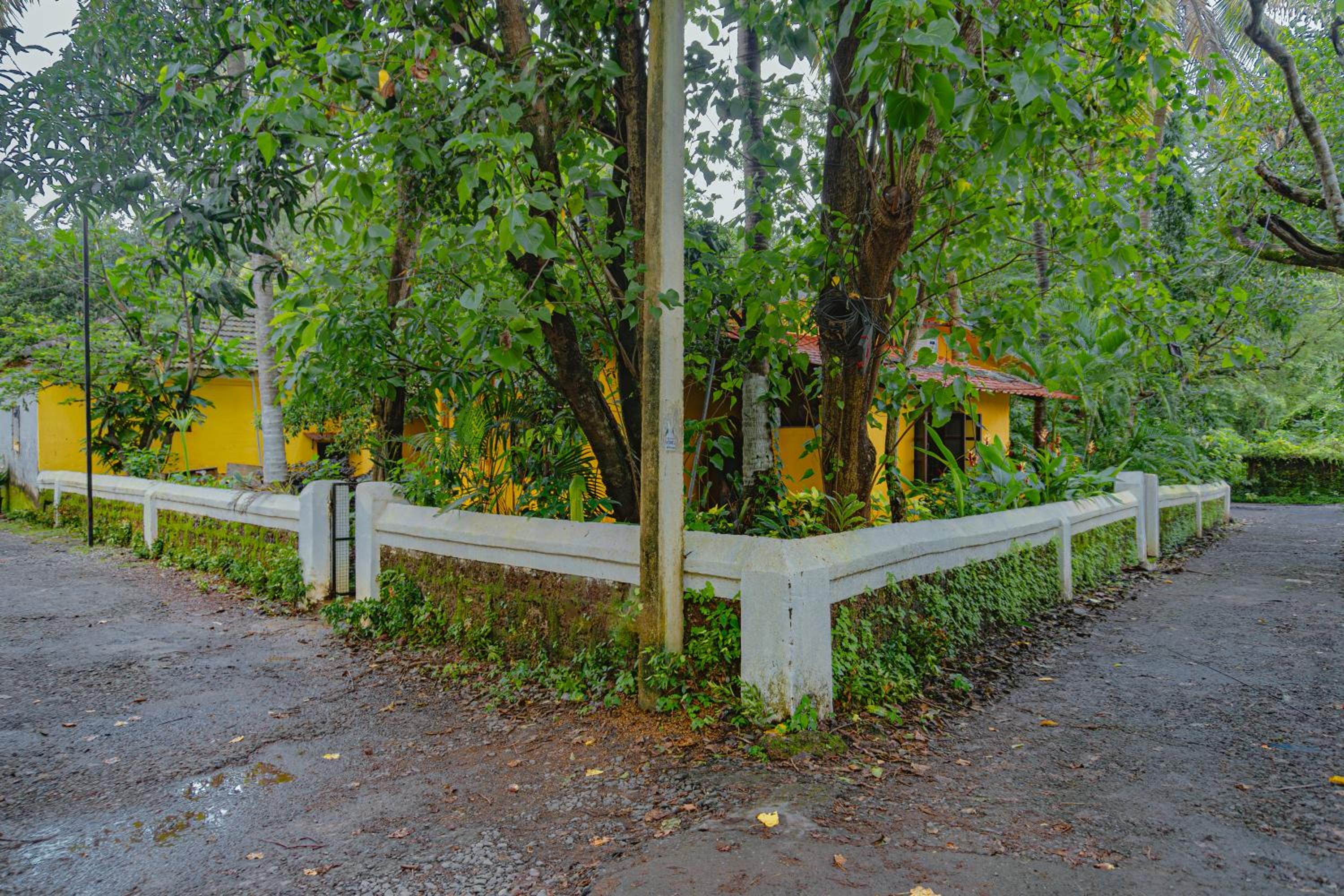 Photo 23