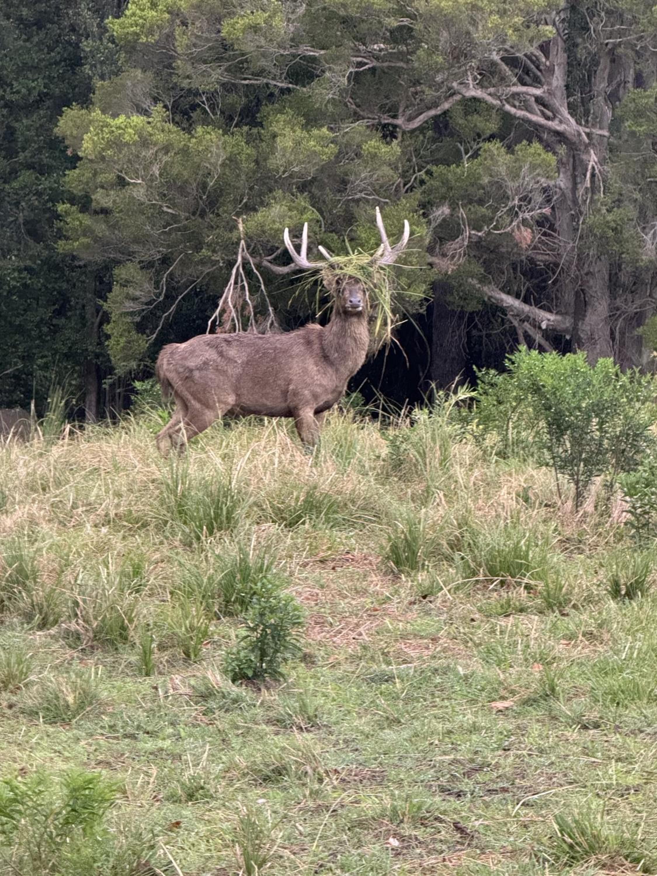 Deer Valley Farm Stay Illawarra sleeps up to 9