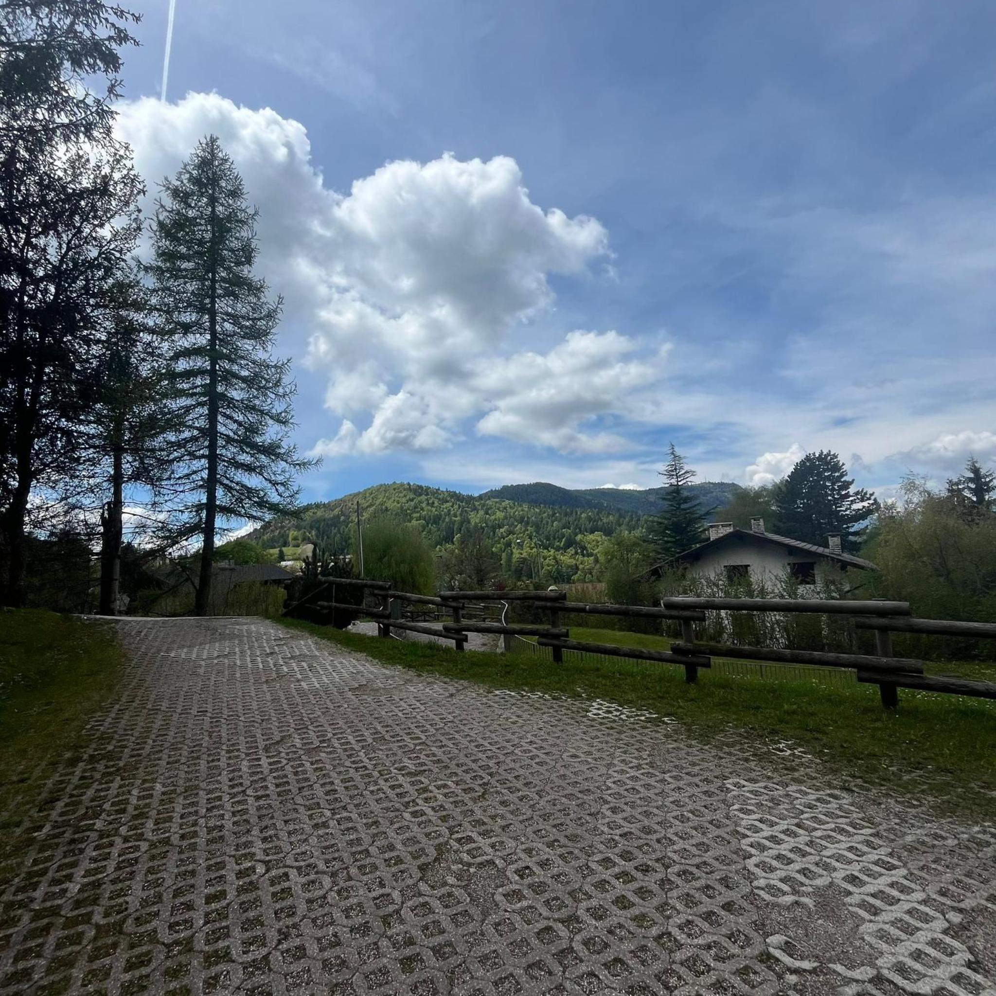 Trentino Apartments - Villa orso Bruno view 4