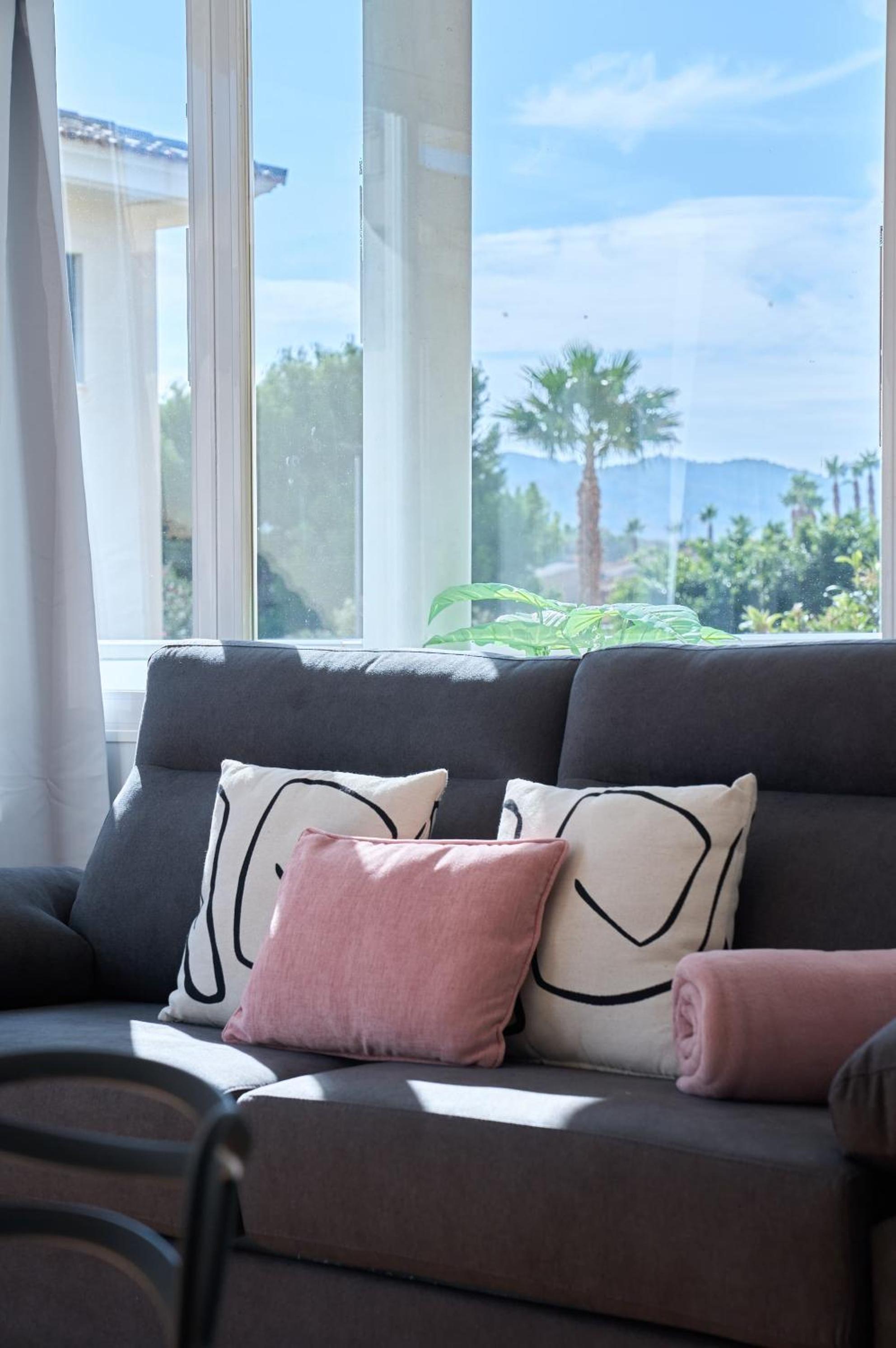 Albir Experience