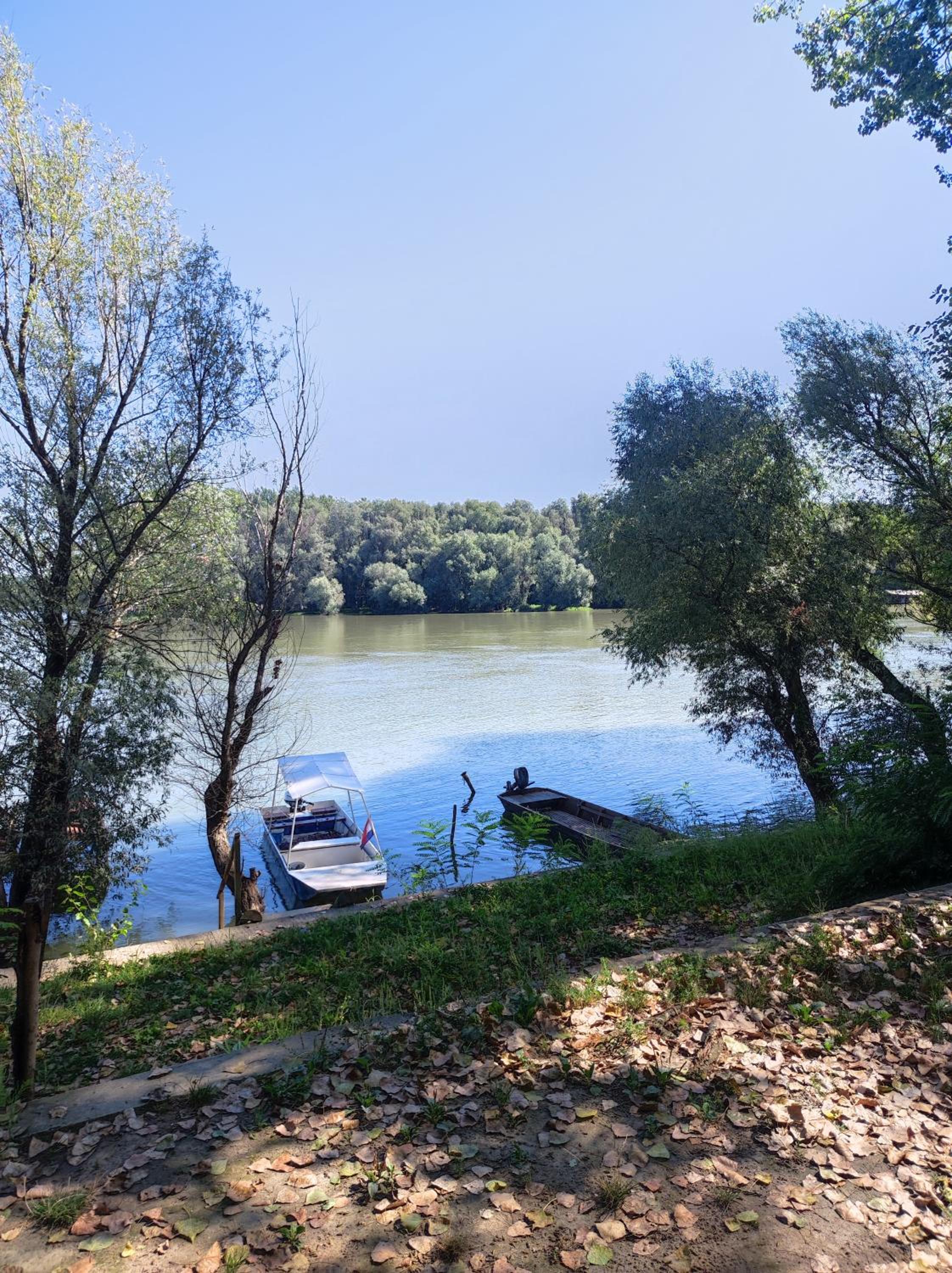 Photo 20