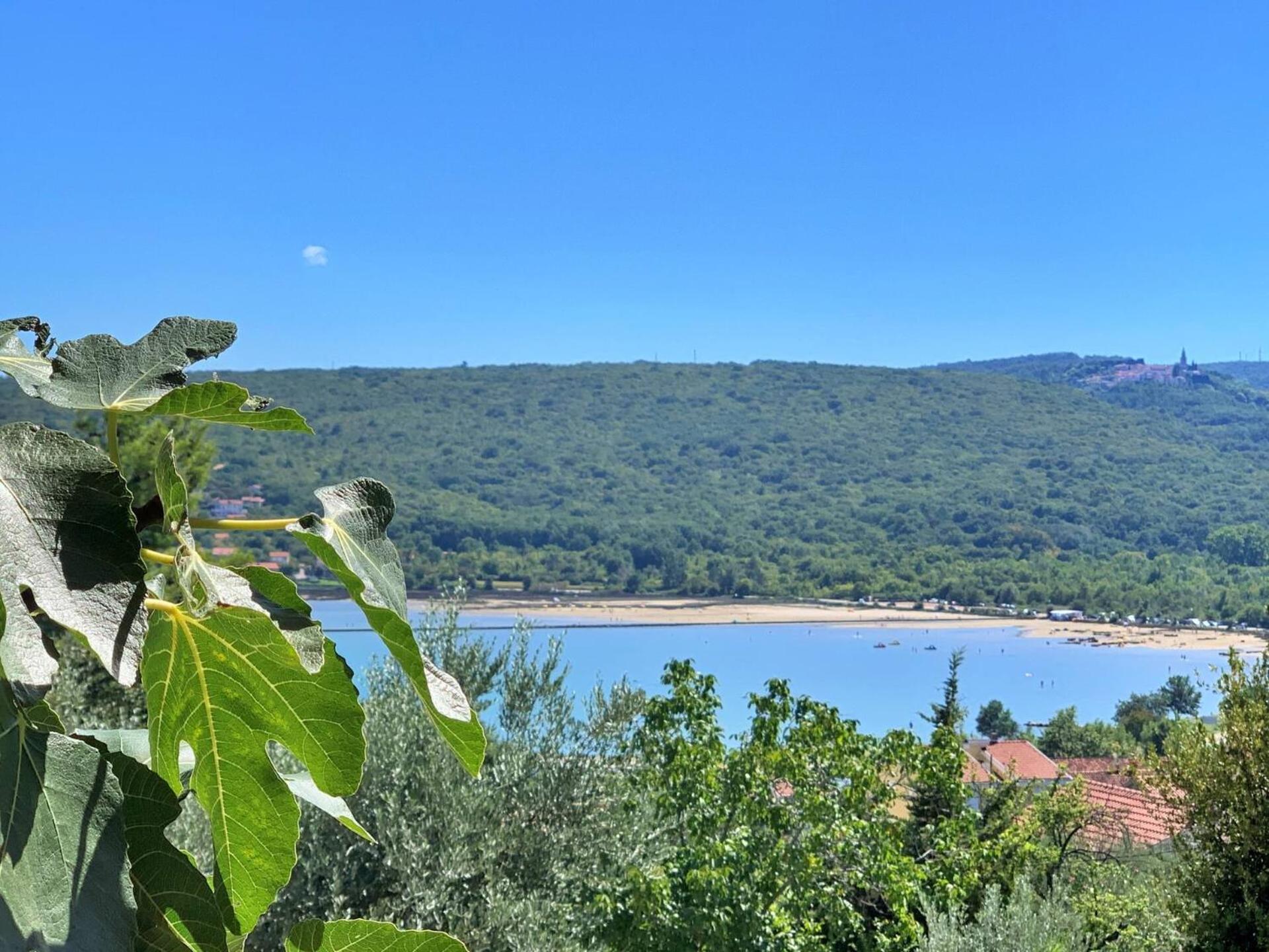 Apartments Santic