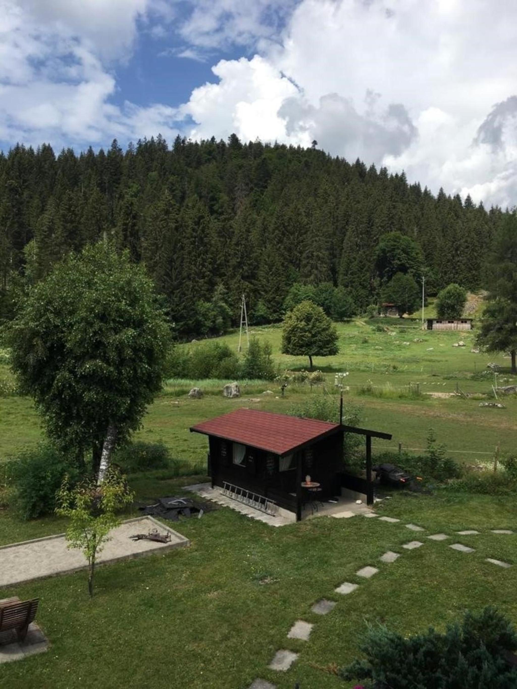 Gästehaus Seewald- Ferienwohnung 4 "Lärche", Schluchsee, Blasiwald view 4